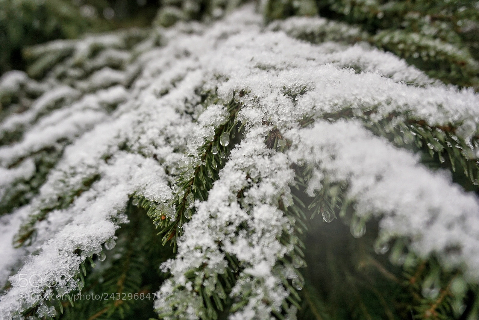 Sony a5100 sample photo. Untitled photography