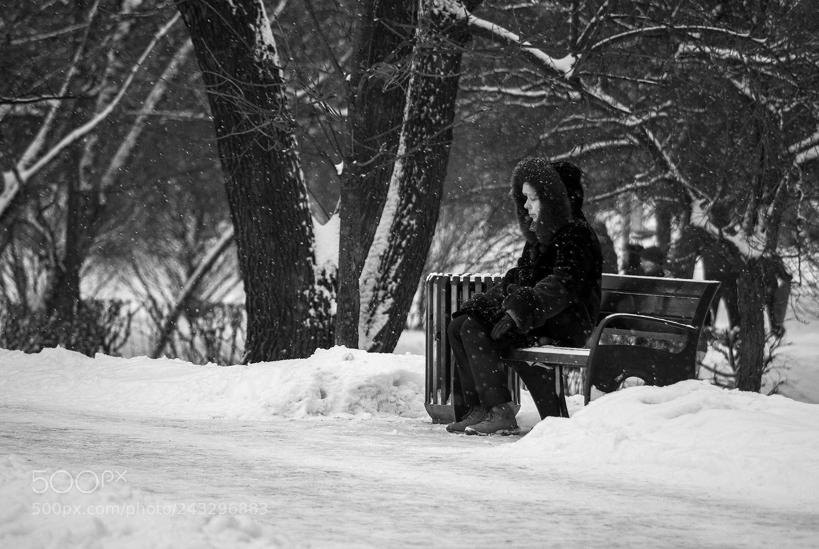 Pentax K-3 sample photo. Зимняя спячка... photography
