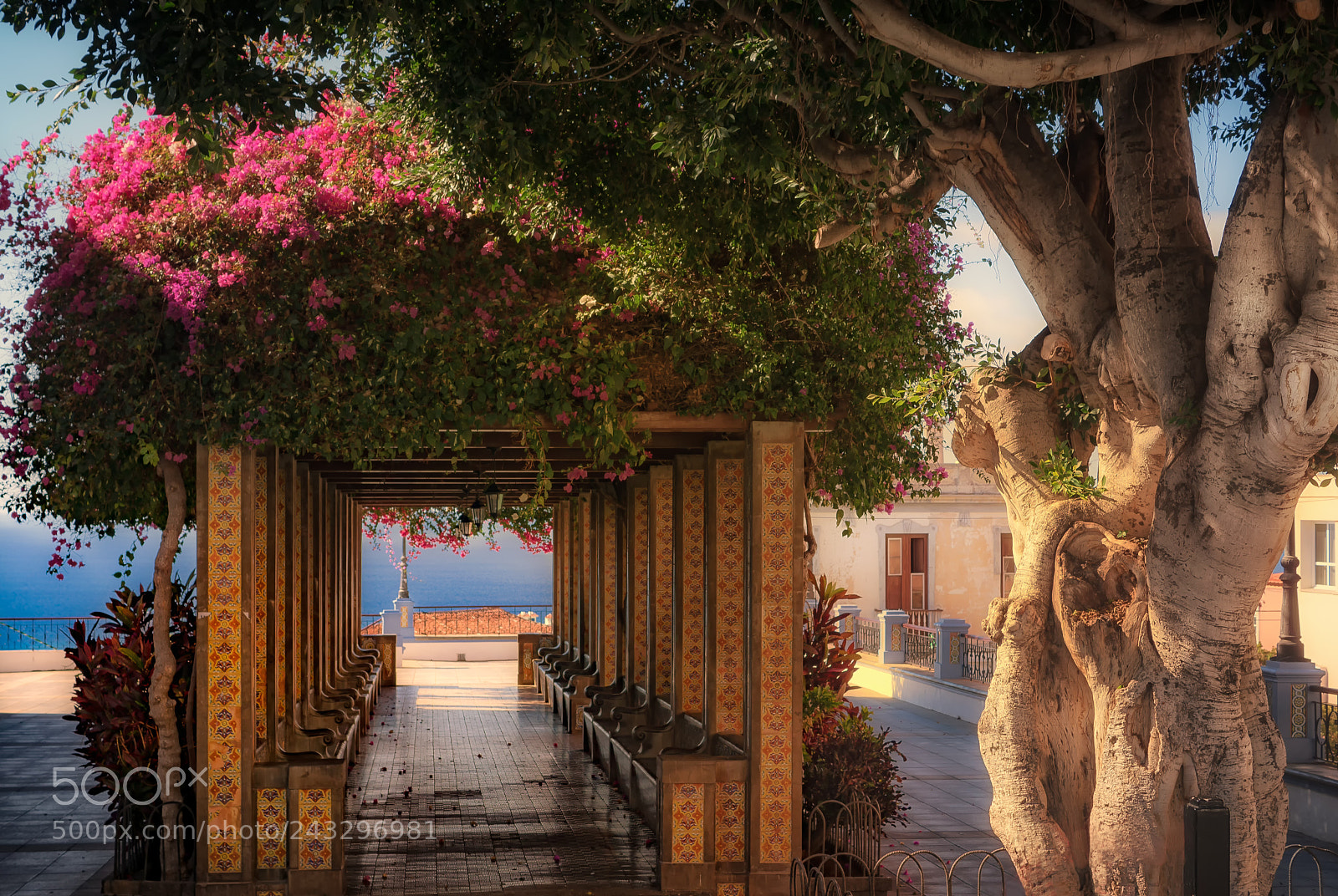 Sony ILCA-77M2 sample photo. Magic place on the photography