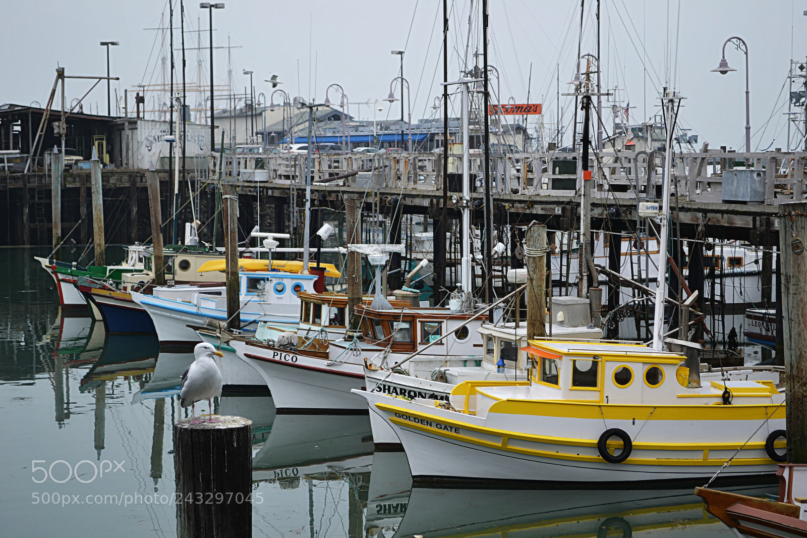 Nikon D3100 sample photo. The docks photography