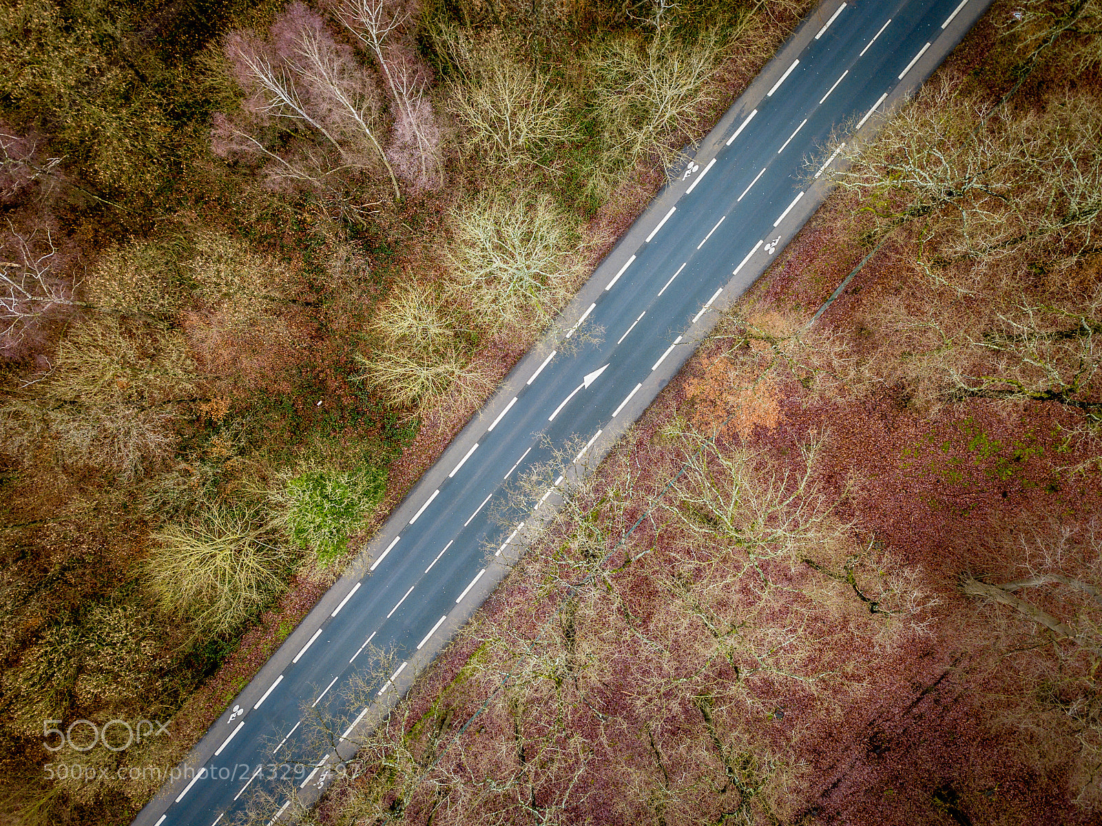 DJI FC220 sample photo. La route photography