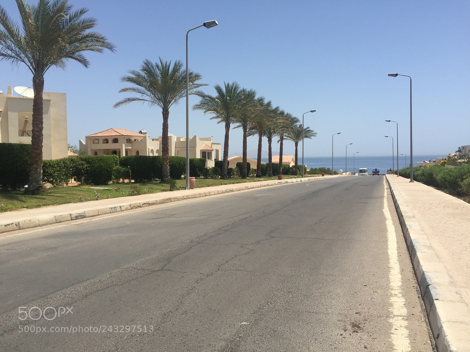 Apple iPhone 6 sample photo. Road of palm trees photography