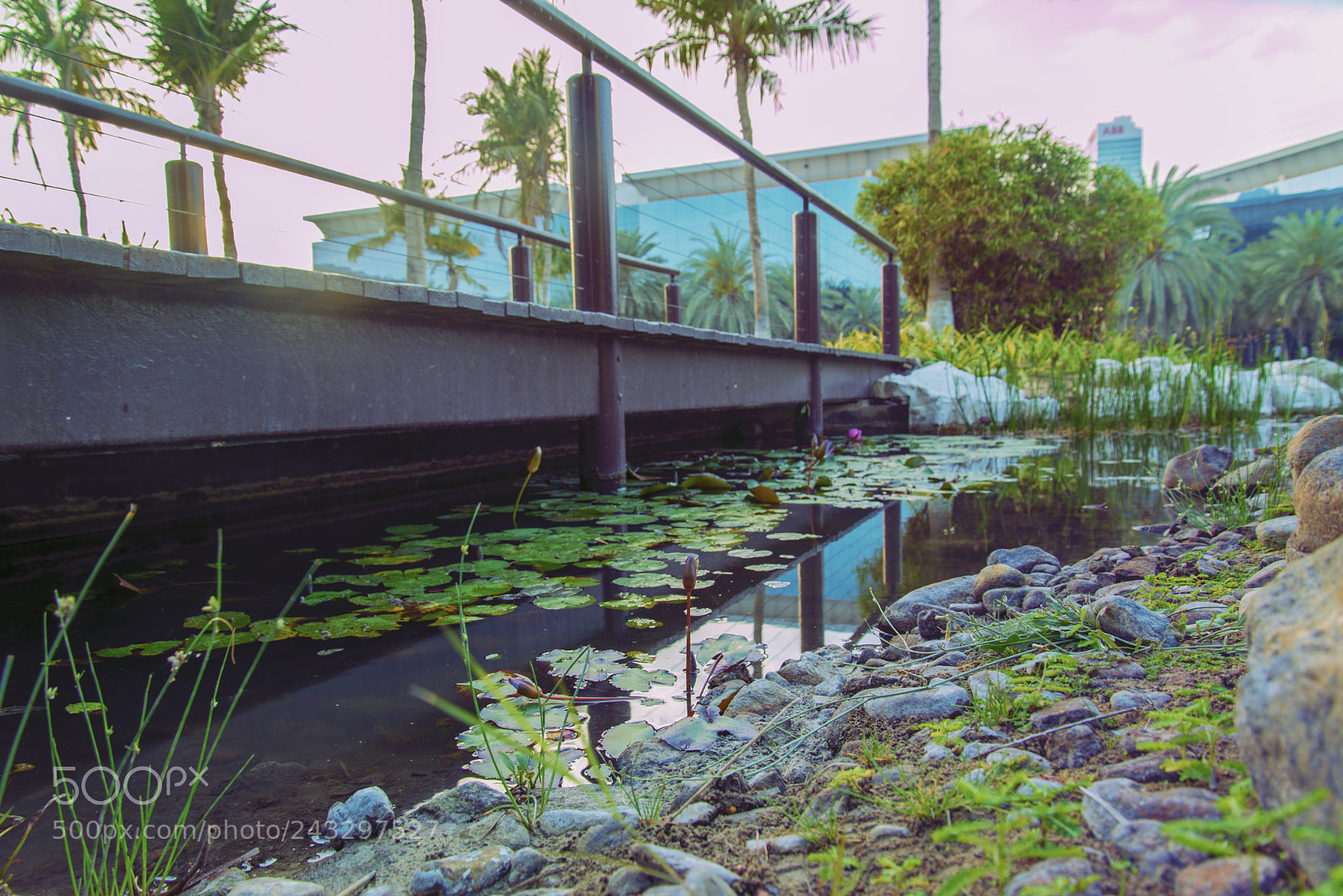 Nikon D610 sample photo. Dubai media city photography