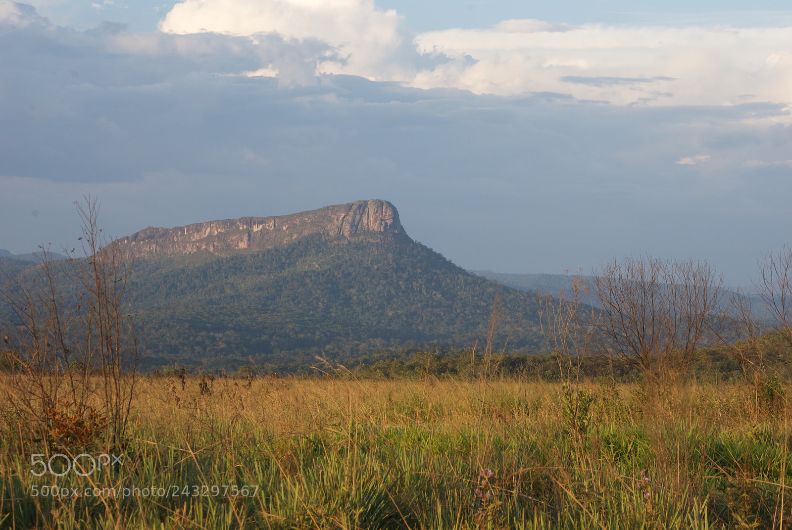 Nikon D60 sample photo. La gran sabana, taken photography