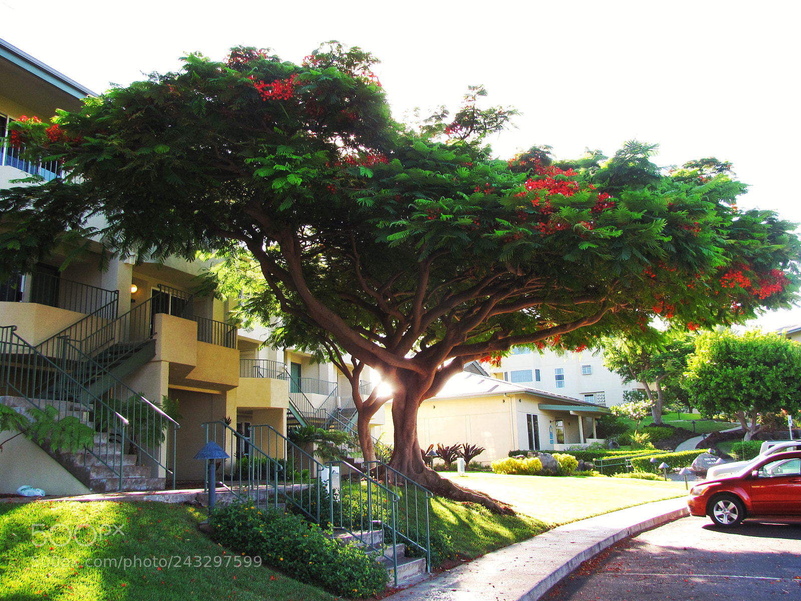 Canon PowerShot SX10 IS sample photo. 8•6•11 // hawaii photography