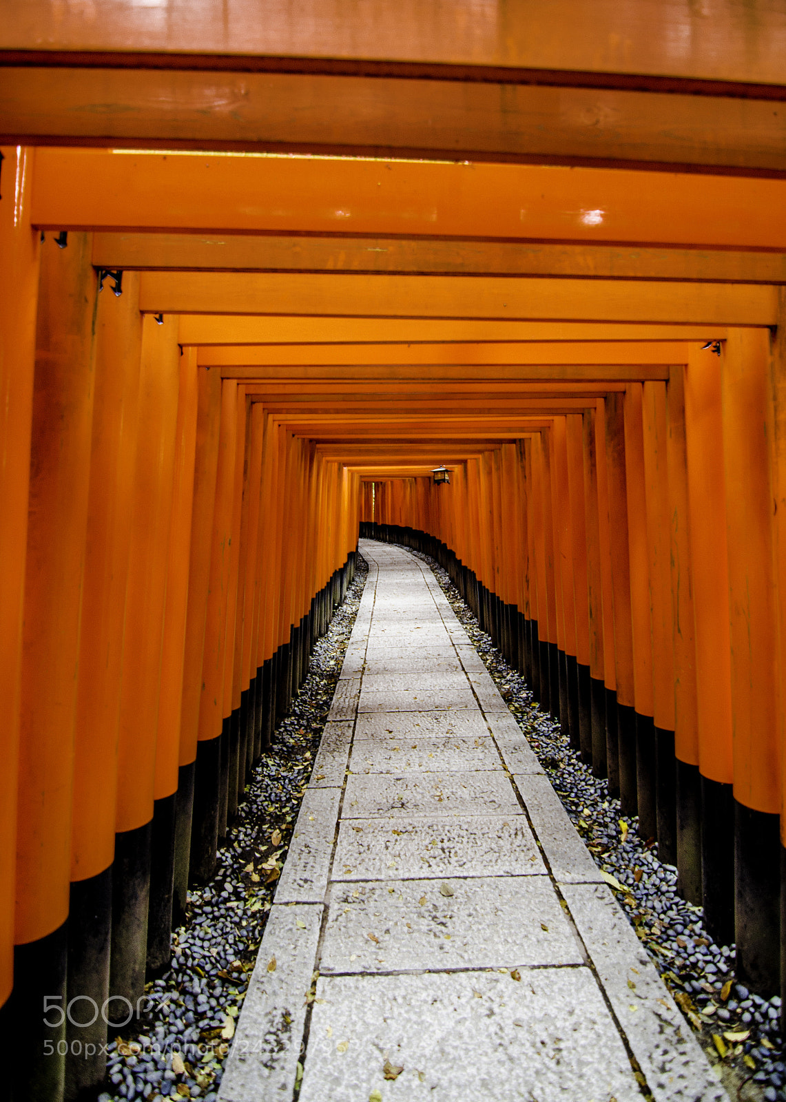 Nikon D7000 sample photo. Kyoto fushimi inari shrine photography