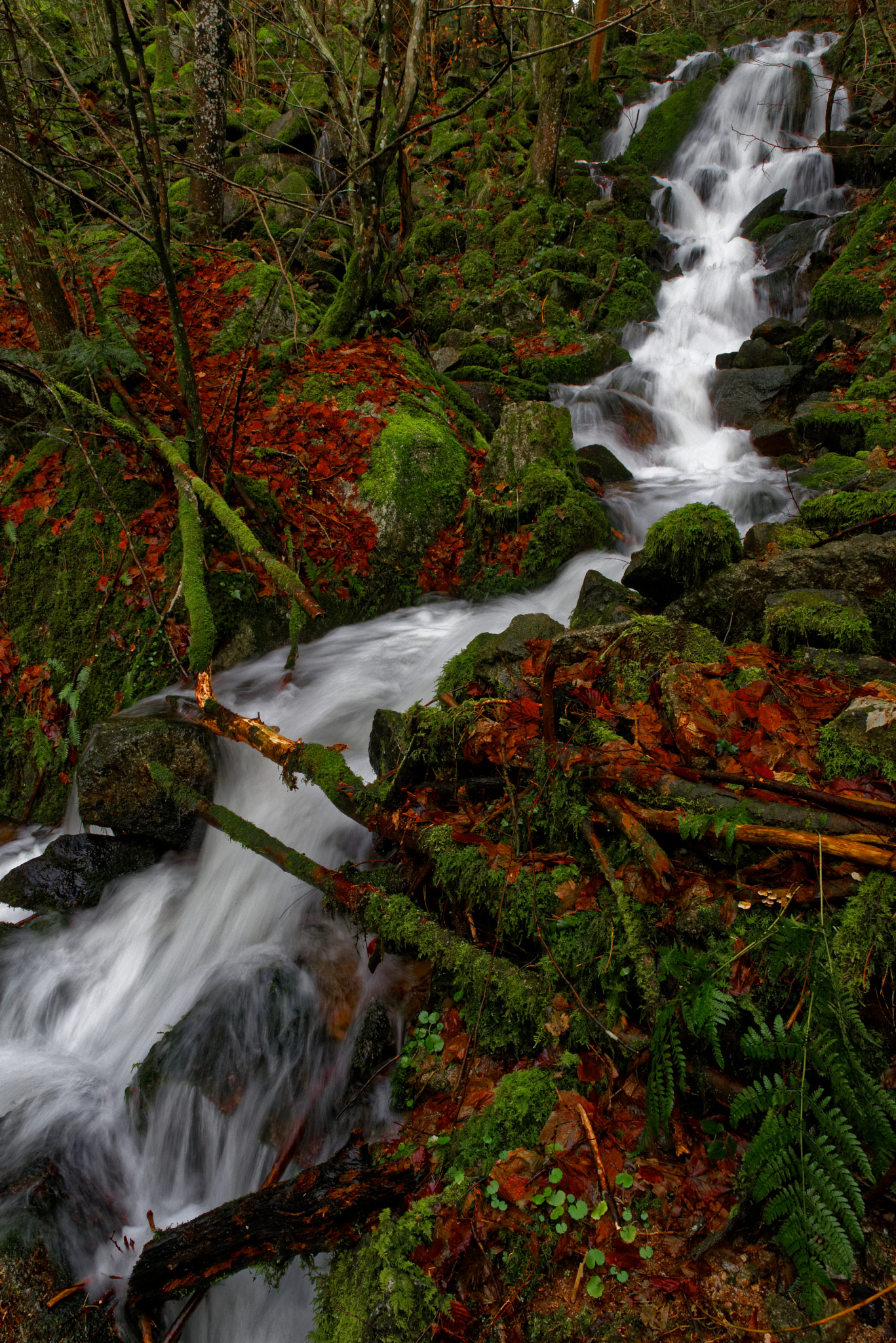 HD Pentax D FA 24-70mm F2.8 ED SDM WR sample photo. Am wasserfall photography