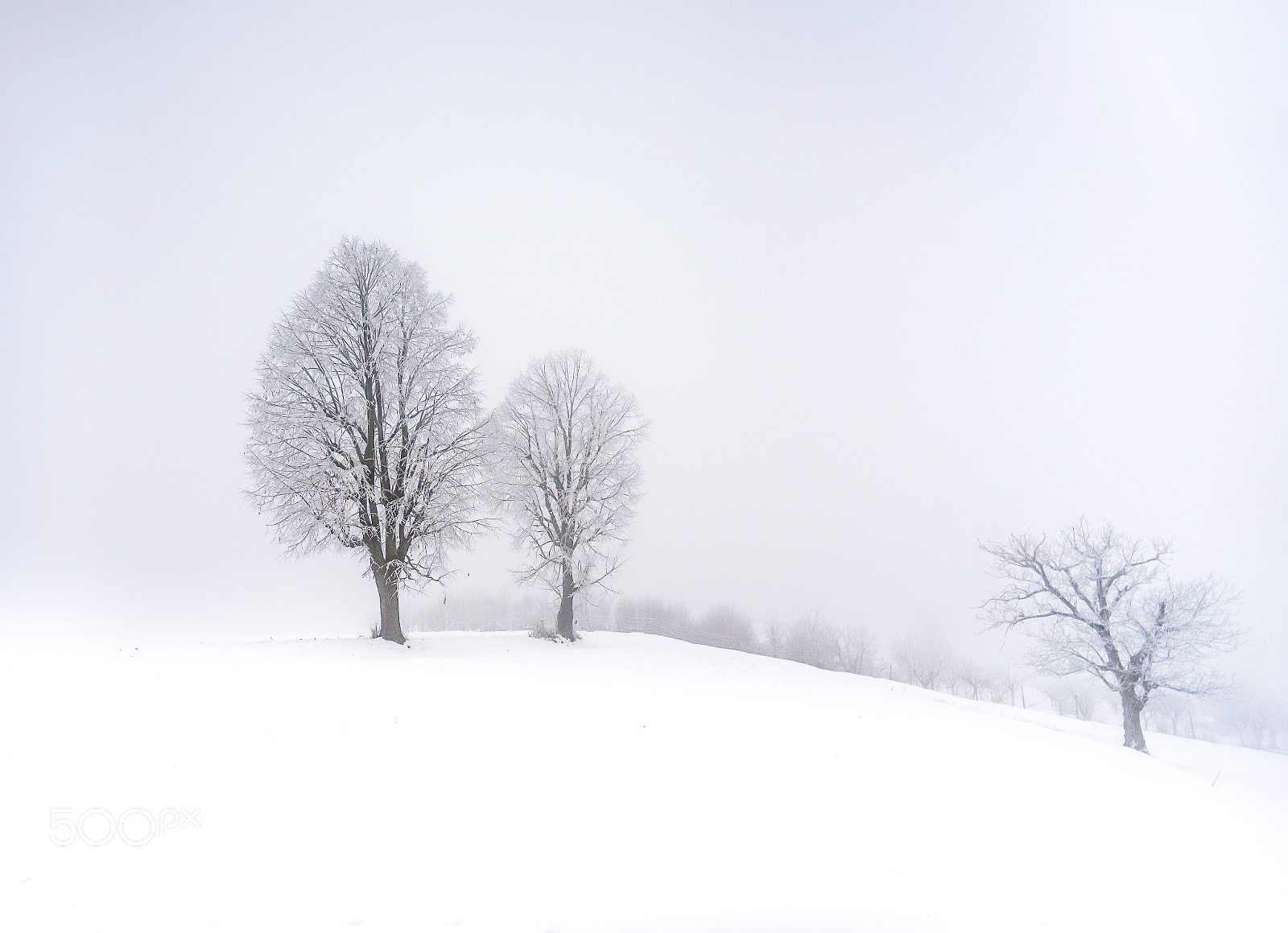 Sony a7 II sample photo. Frozen photography