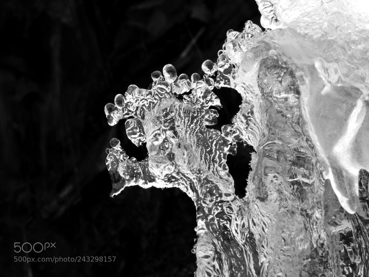 Nikon Coolpix B500 sample photo. Ice art - courtesy photography