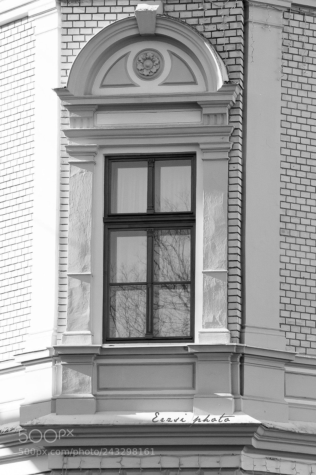 Nikon D3100 sample photo. Recovered photography