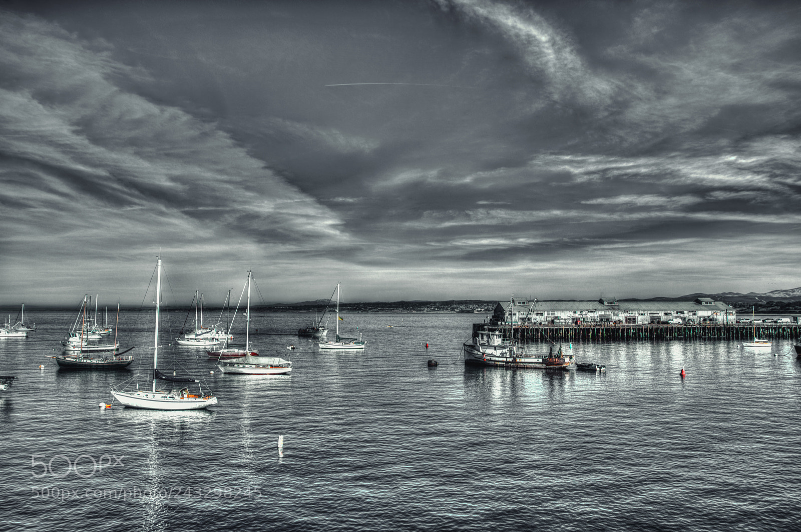 Nikon D850 sample photo. Monterey bay photography