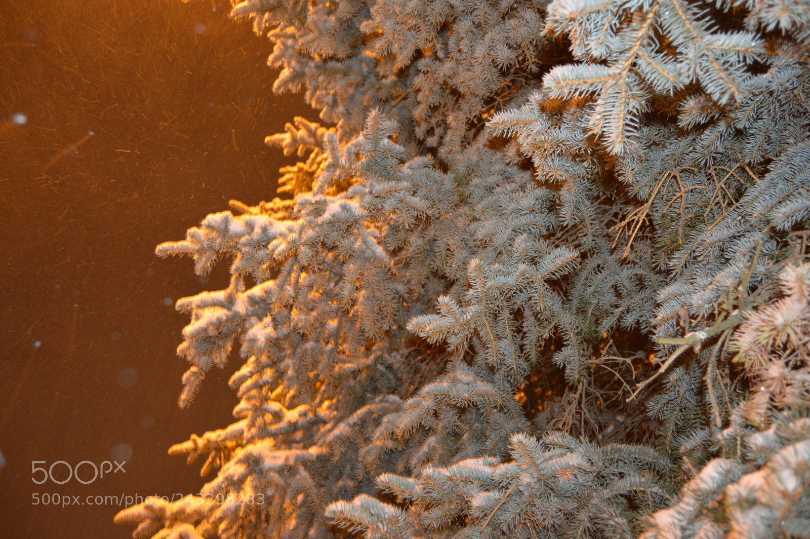 Nikon D3200 sample photo. Снежная королева photography