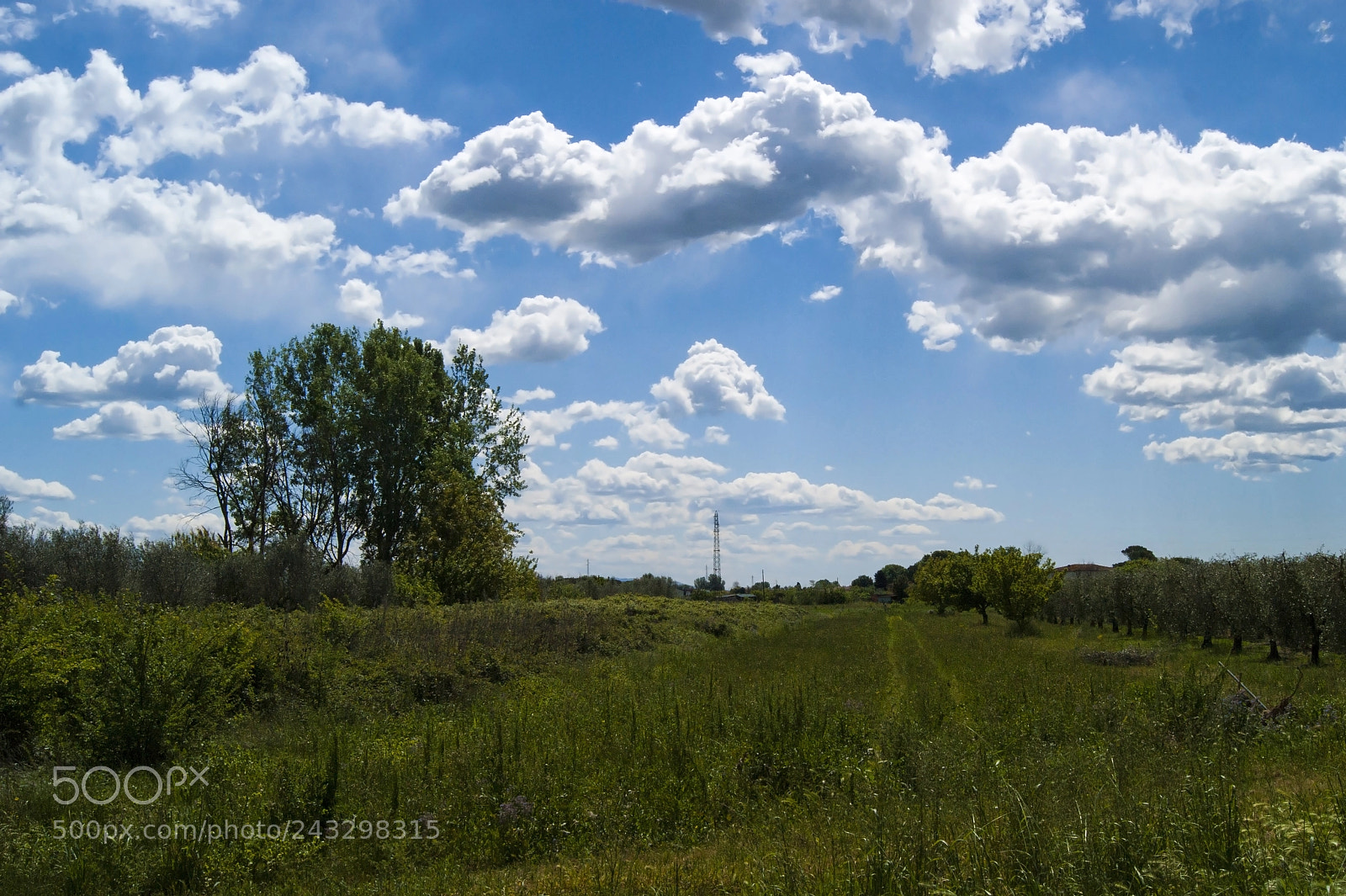 Sony Alpha DSLR-A380 sample photo. Meadow infinity photography