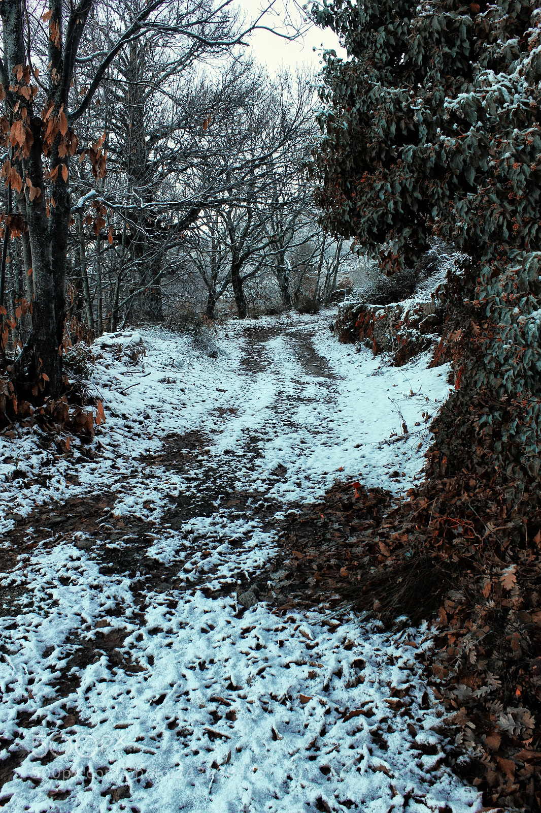Canon EOS 550D (EOS Rebel T2i / EOS Kiss X4) sample photo. Extremadura photography