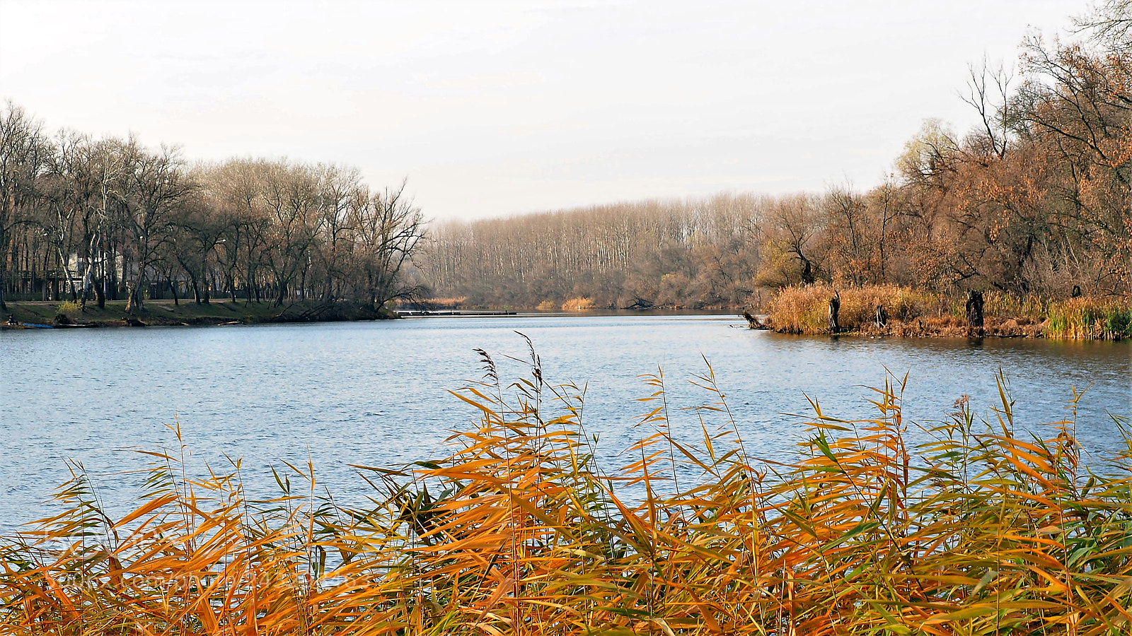 Olympus OM-D E-M5 II sample photo. Nature reserve! photography