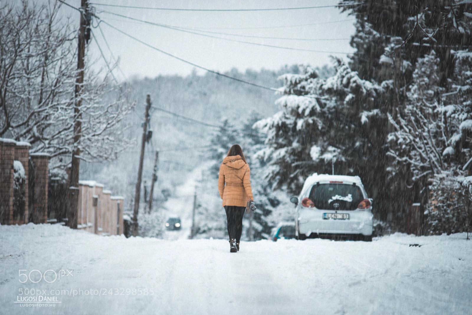 Nikon D610 sample photo. Walking in the snowfall photography