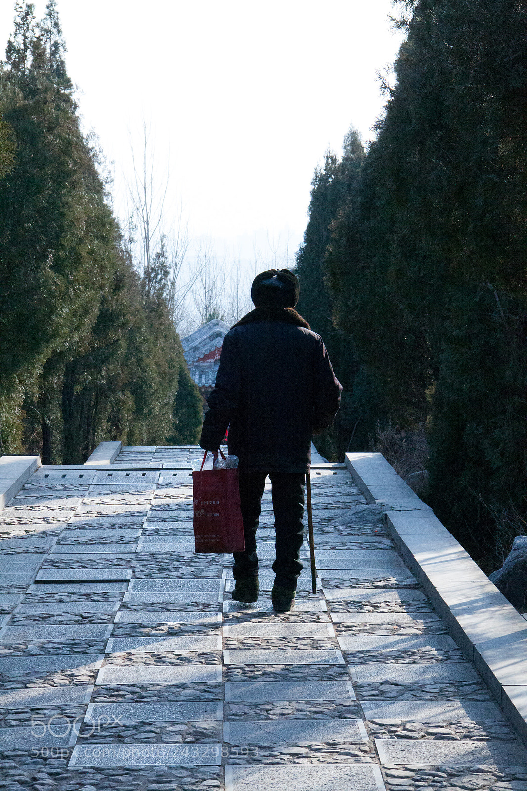 Canon EOS 50D sample photo. Img photography