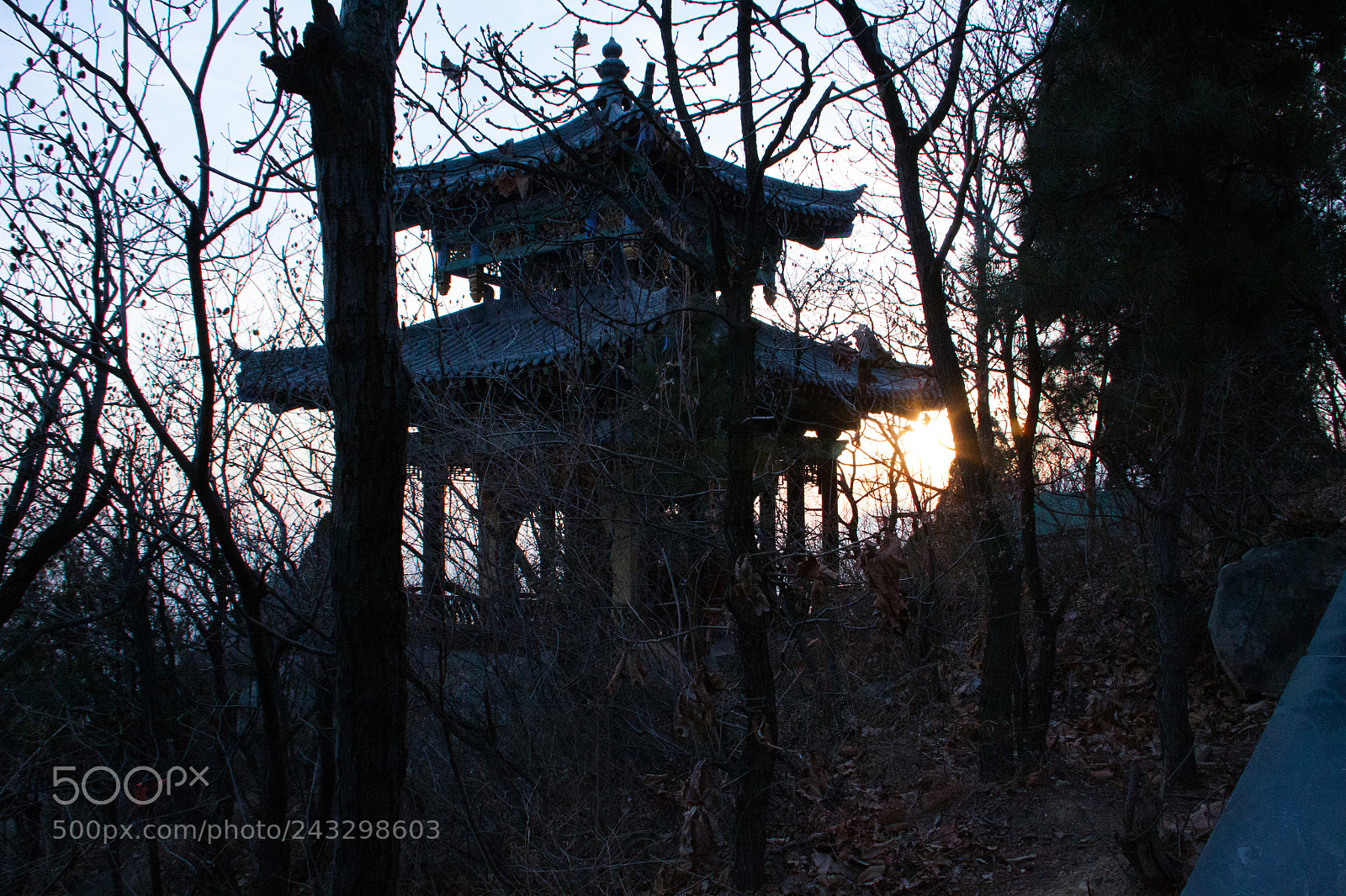 Canon EOS 50D sample photo. Img photography