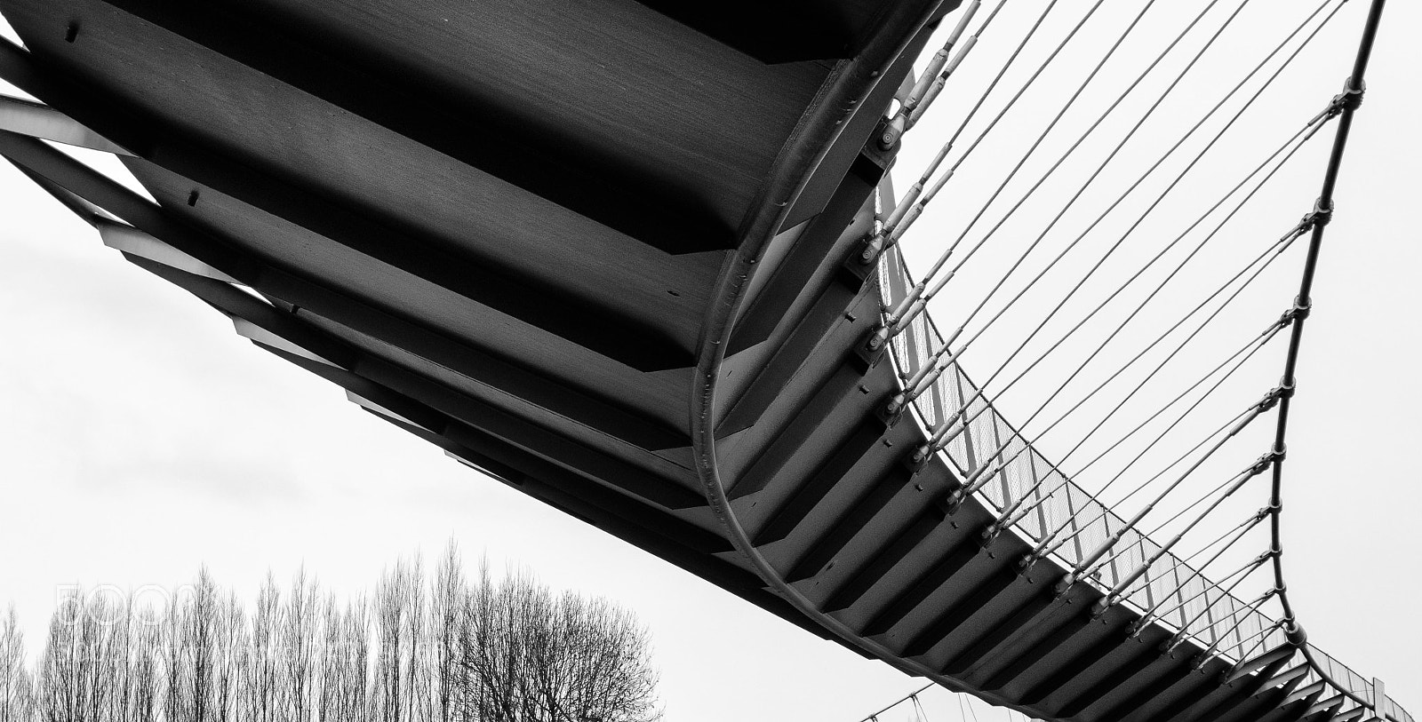 Nikon D7500 sample photo. Bridge photography