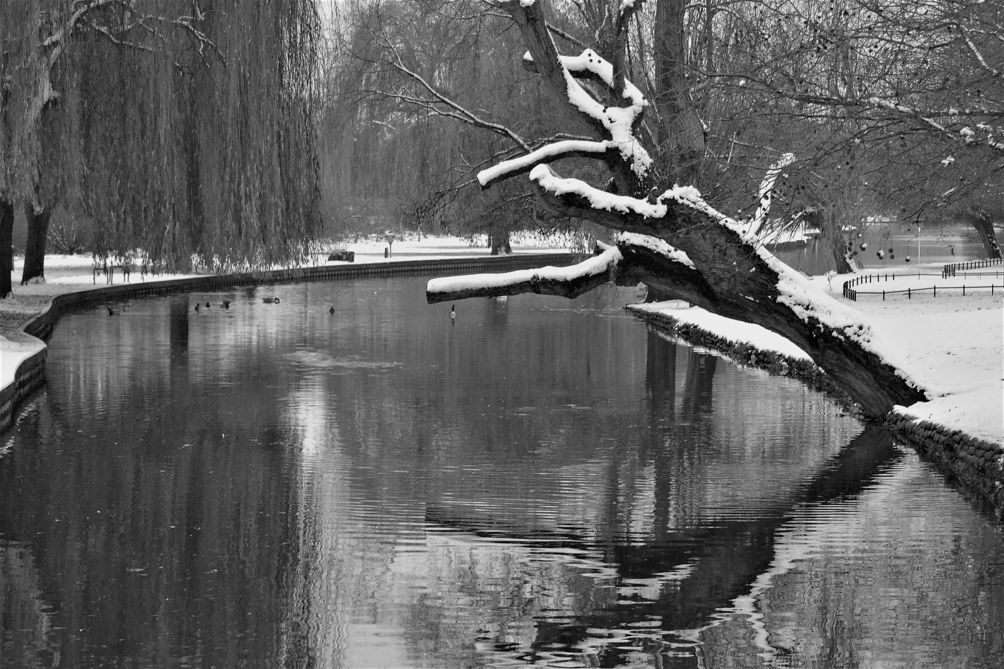 Sigma 70-300mm F4-5.6 APO DG Macro sample photo. Great river ouse photography