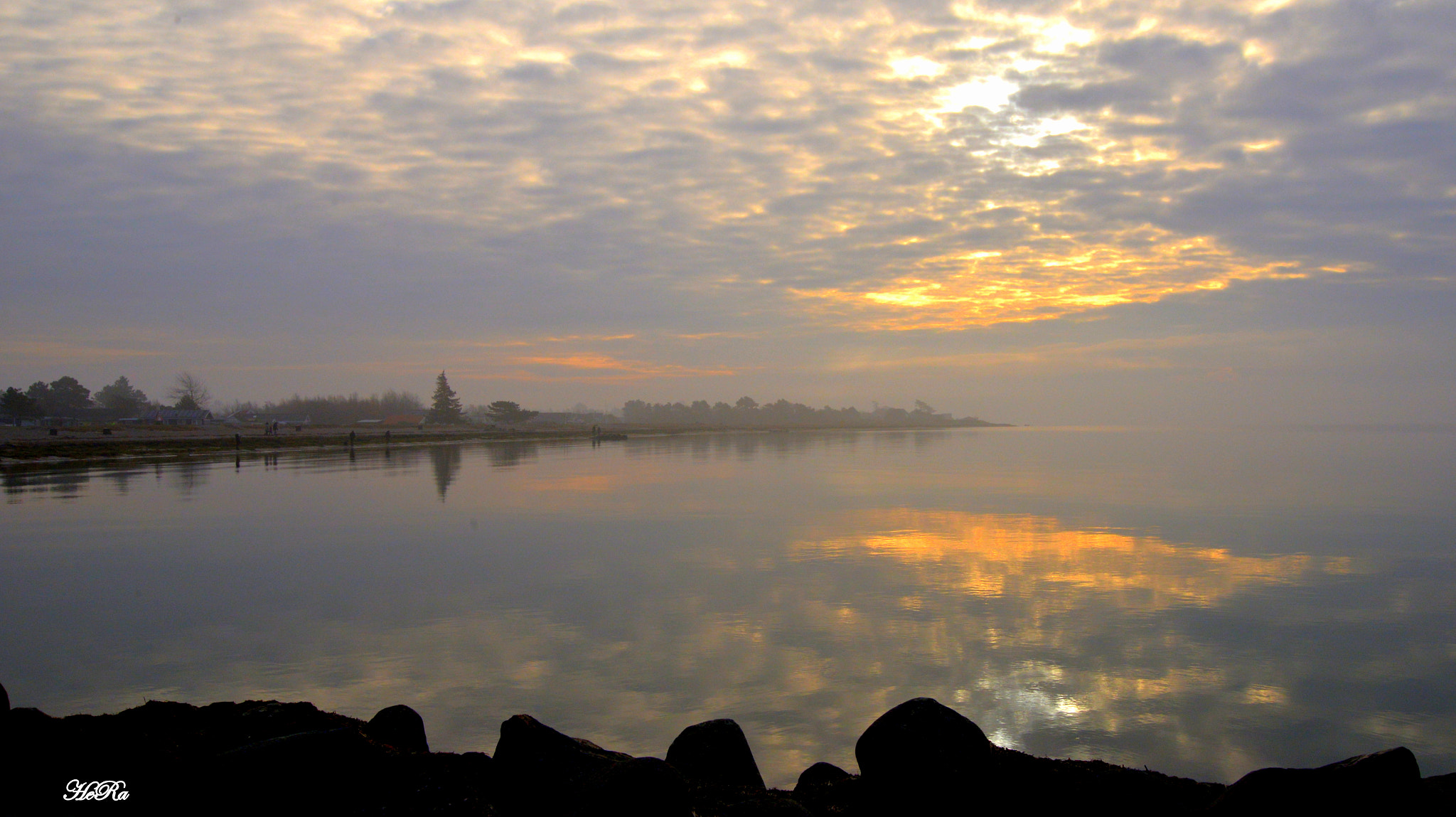 Nikon D610 sample photo. Morning mist photography