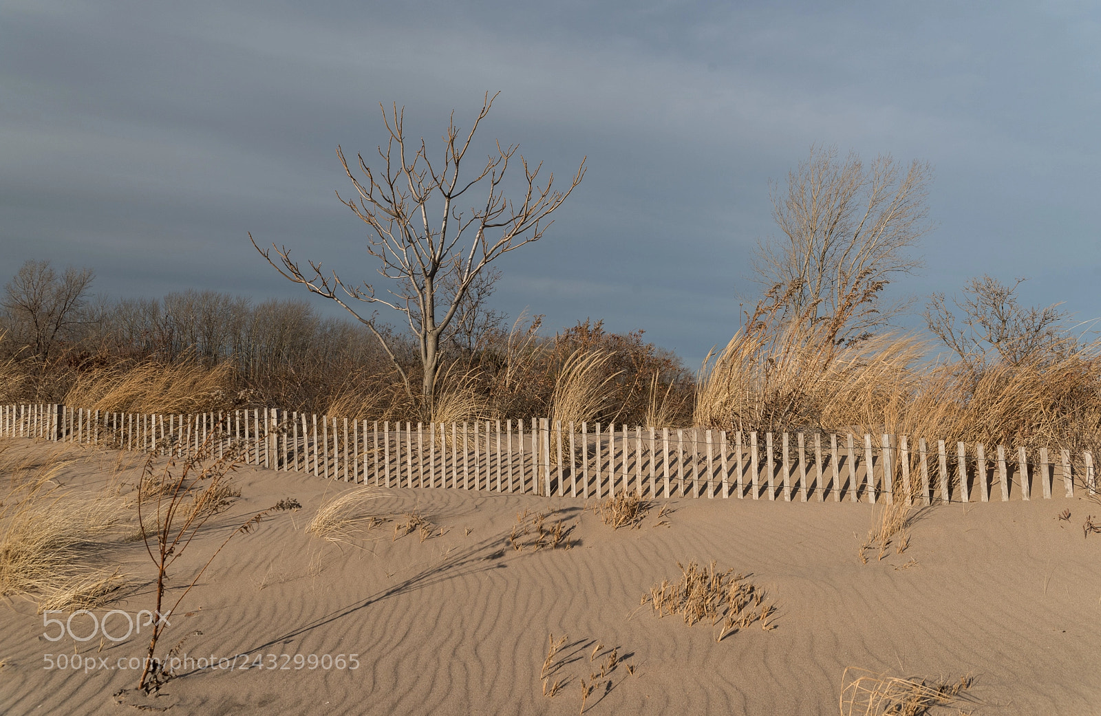 Nikon D810 sample photo. Great kills park-new dorp photography