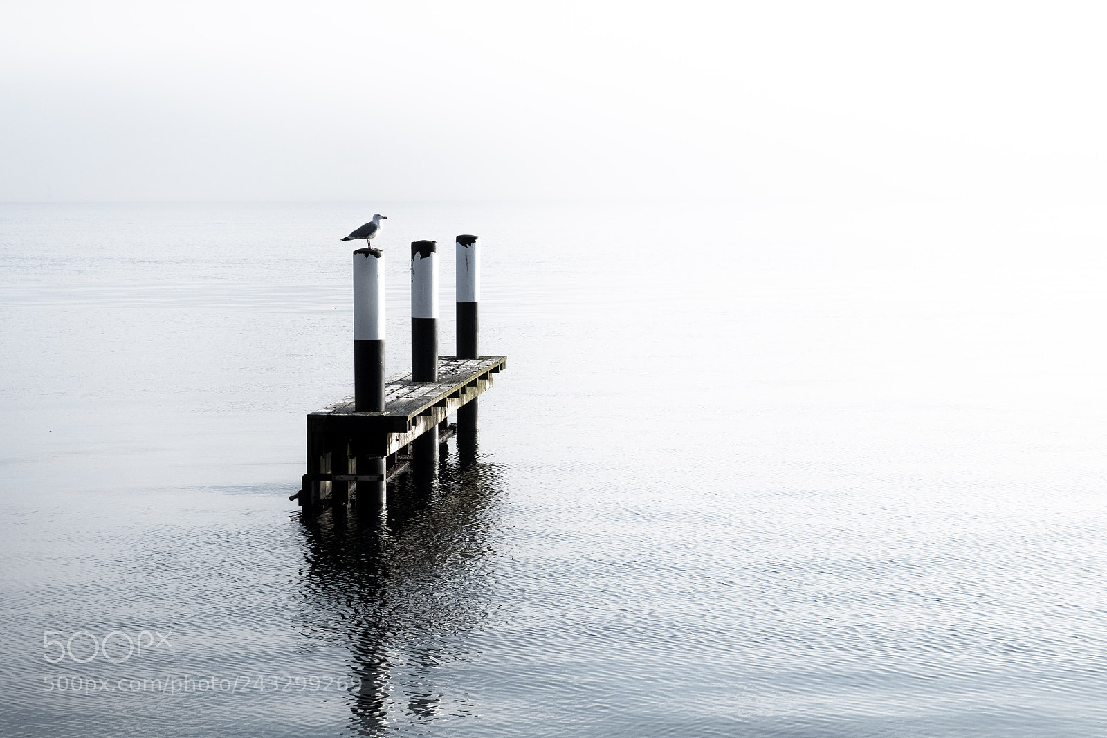 Fujifilm X-T2 sample photo. Hazy day at the photography