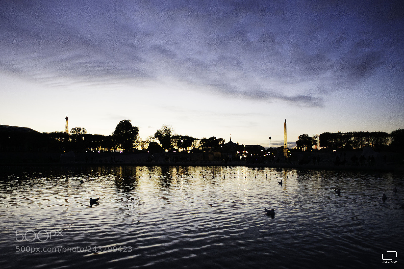 Nikon D610 sample photo. Paris photography
