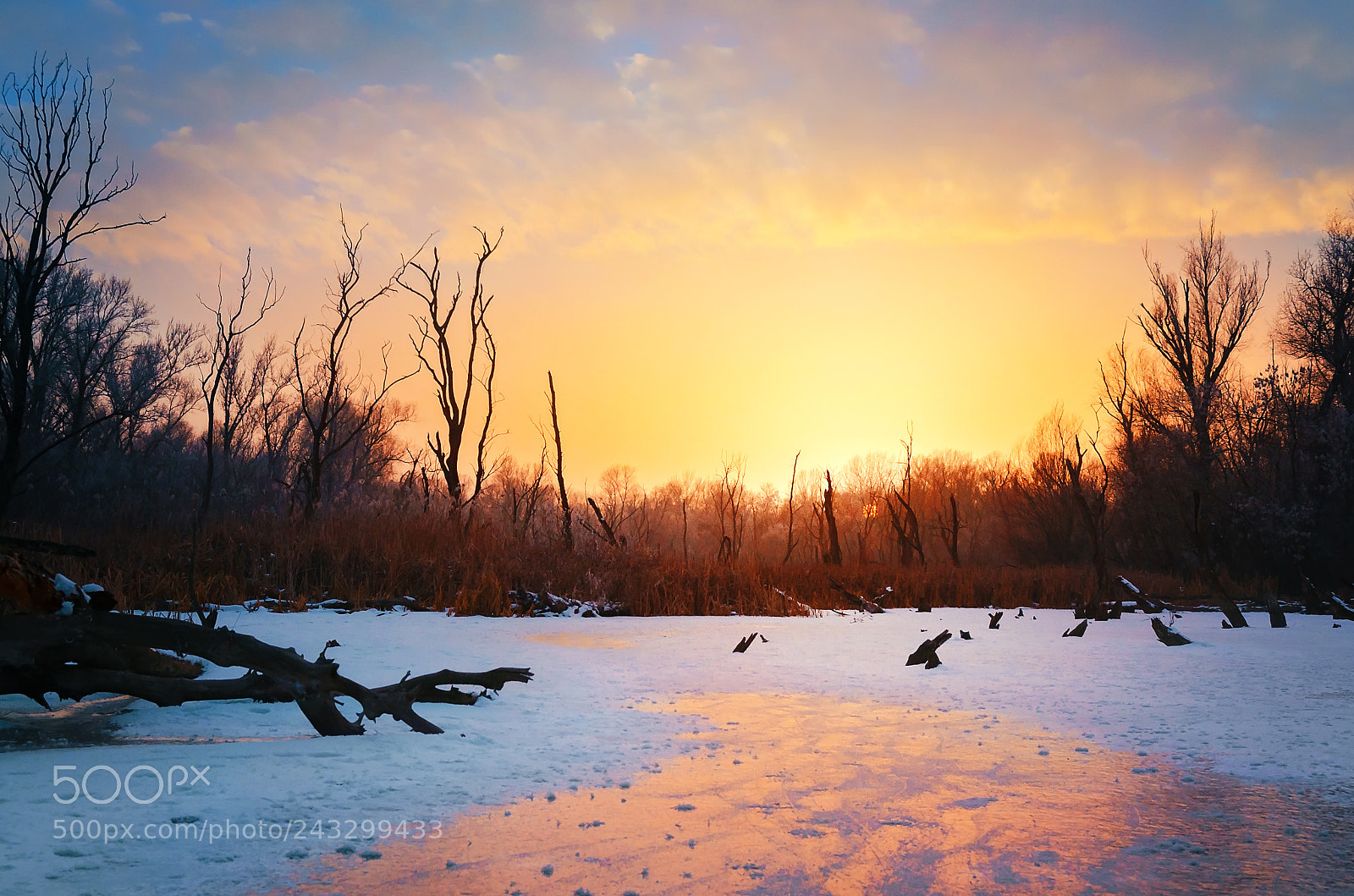 Nikon D5100 sample photo. Peaceful sunset photography