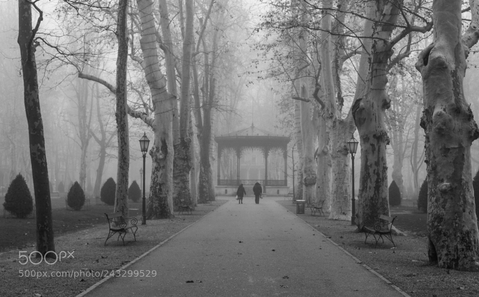 Nikon D3200 sample photo. Misty walk photography