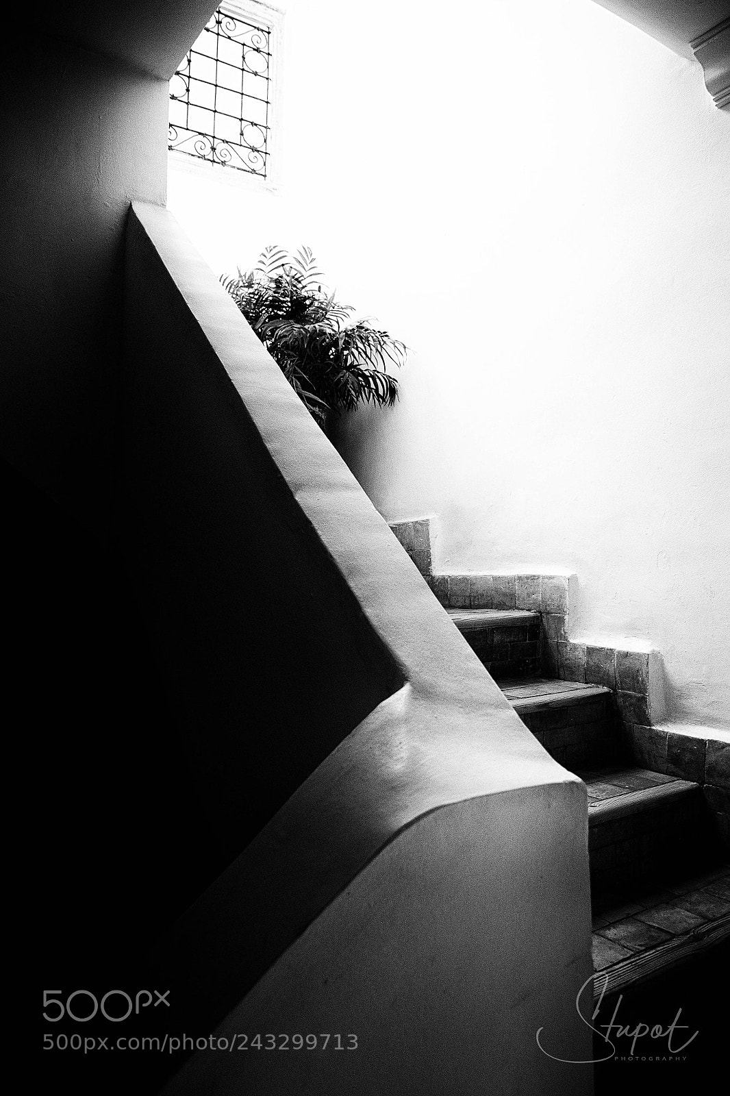 Nikon D500 sample photo. The stairs in the photography