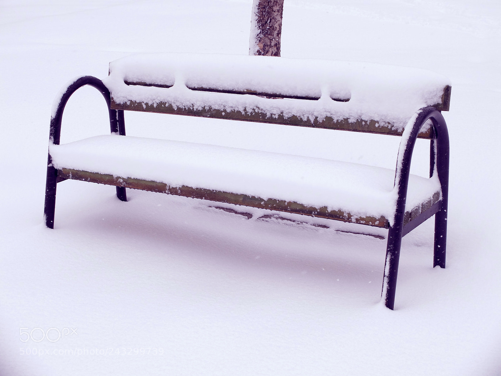 Fujifilm X20 sample photo. Snow photography