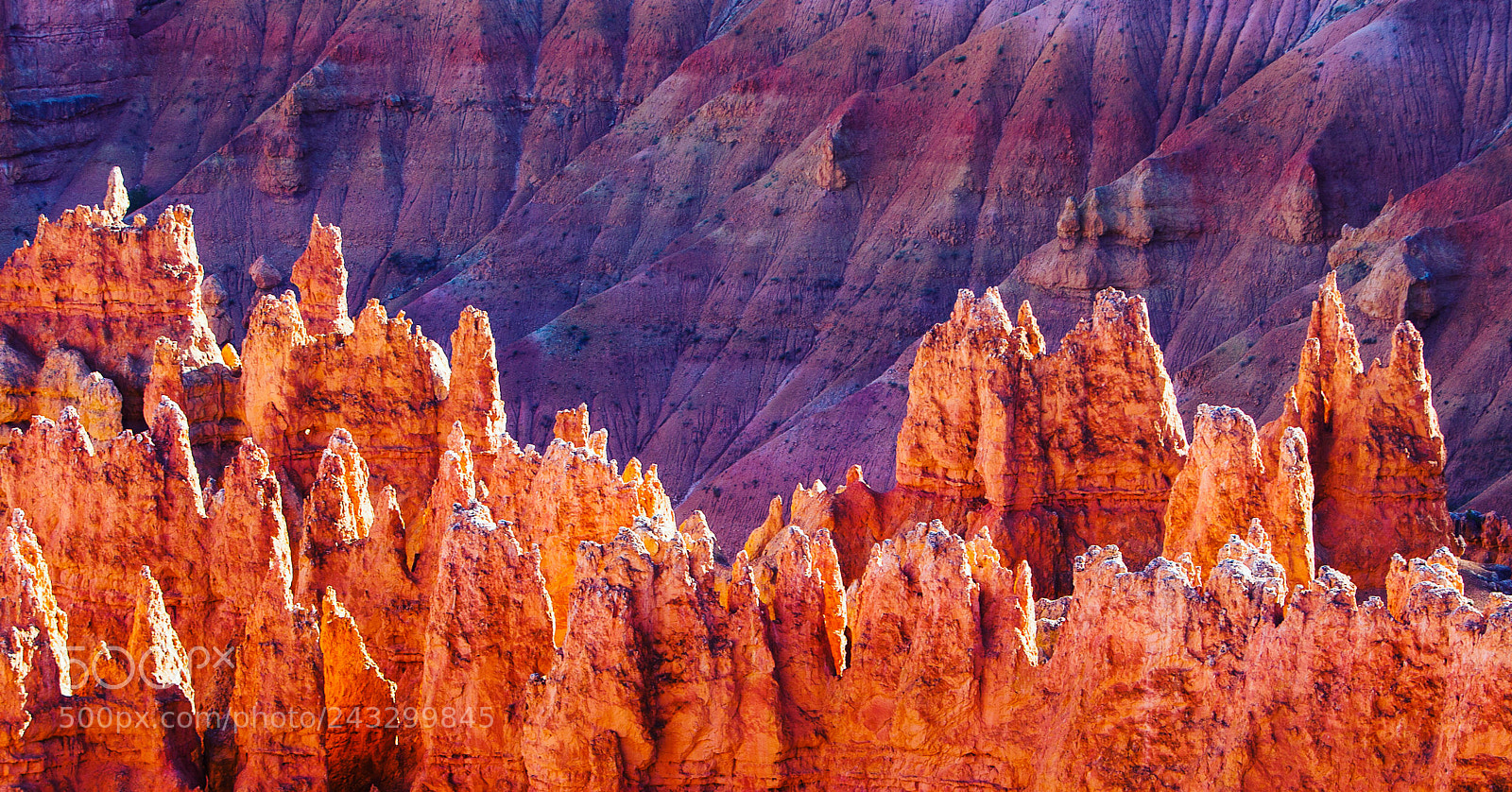 Canon EOS-1D X sample photo. Bryce canyon, have you photography