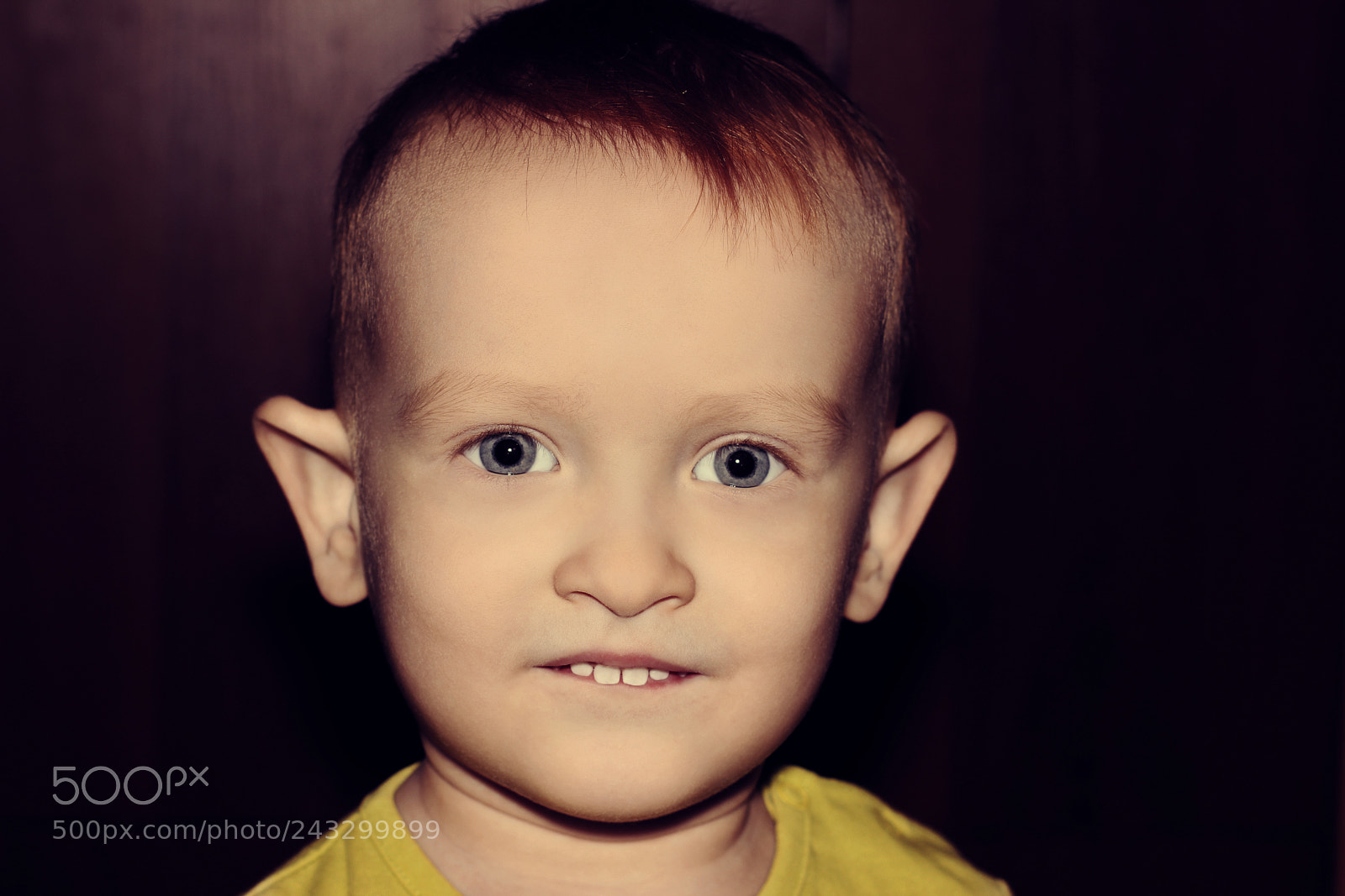 Canon EOS 550D (EOS Rebel T2i / EOS Kiss X4) sample photo. Andrew photography