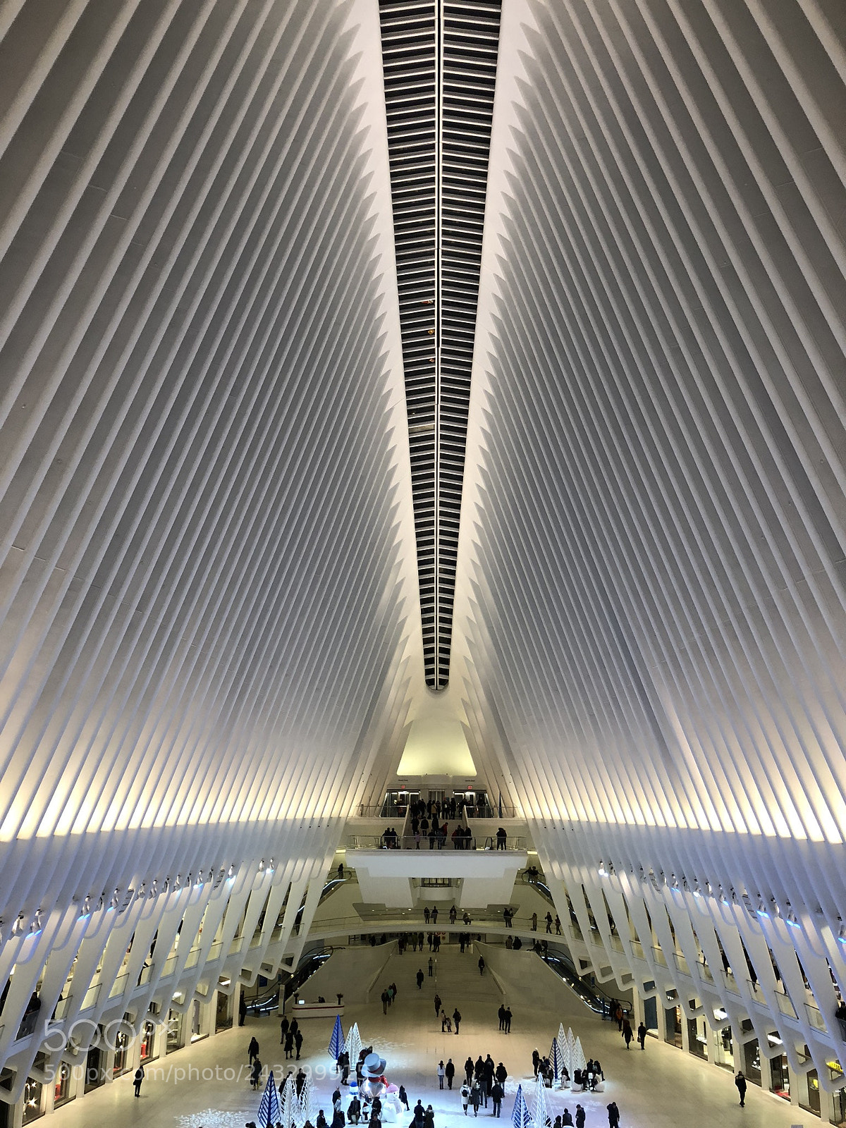 Apple iPhone X sample photo. Oculus photography