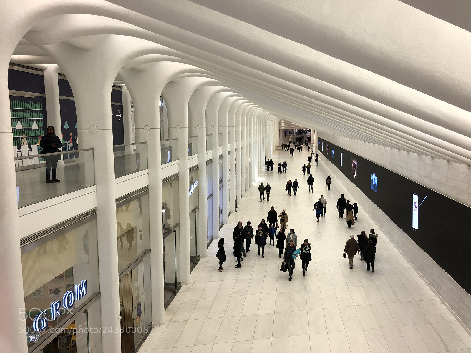Apple iPhone X sample photo. Oculus photography