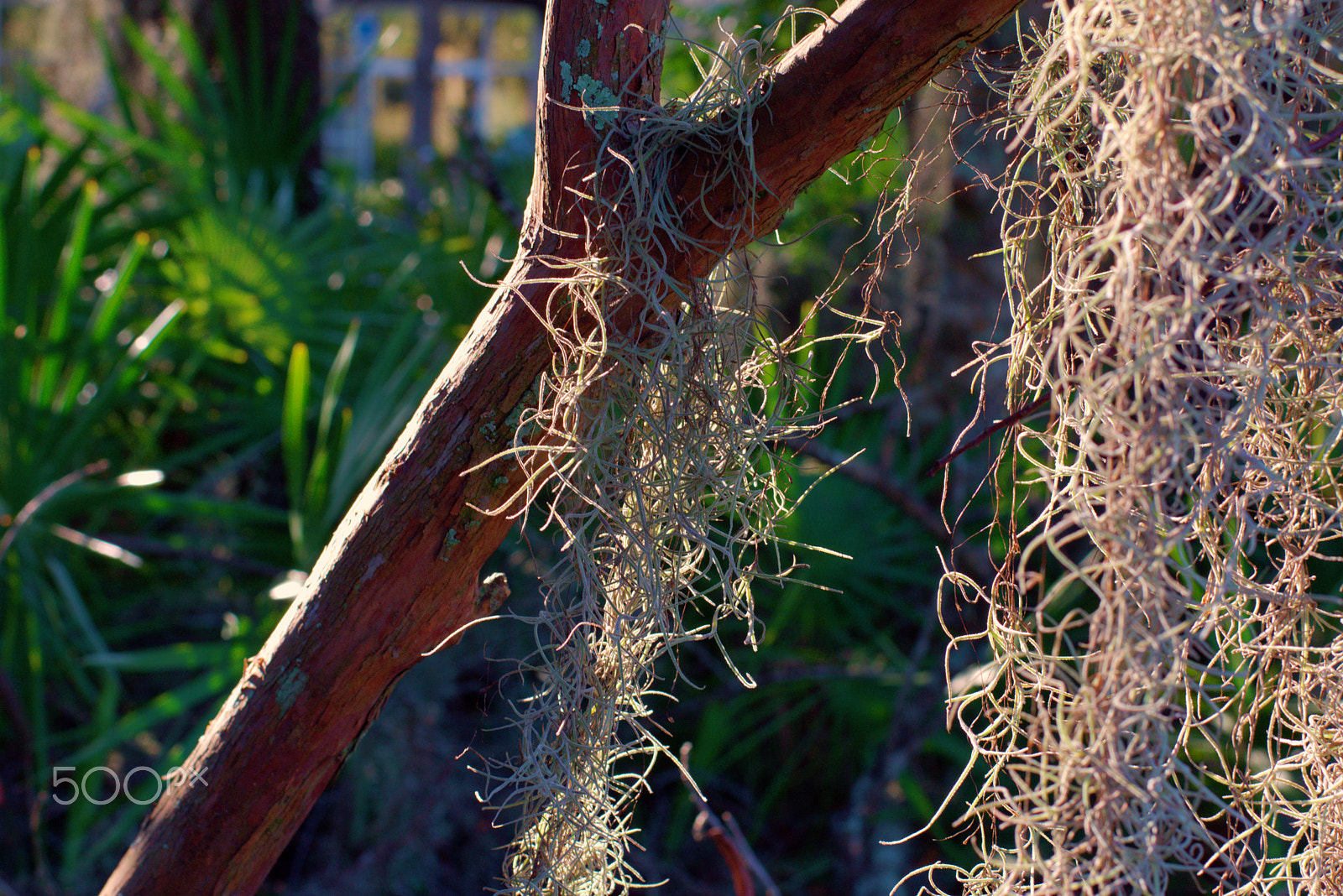 Nikon D3400 + Nikon AF-S Nikkor 50mm F1.8G sample photo. Dsc photography