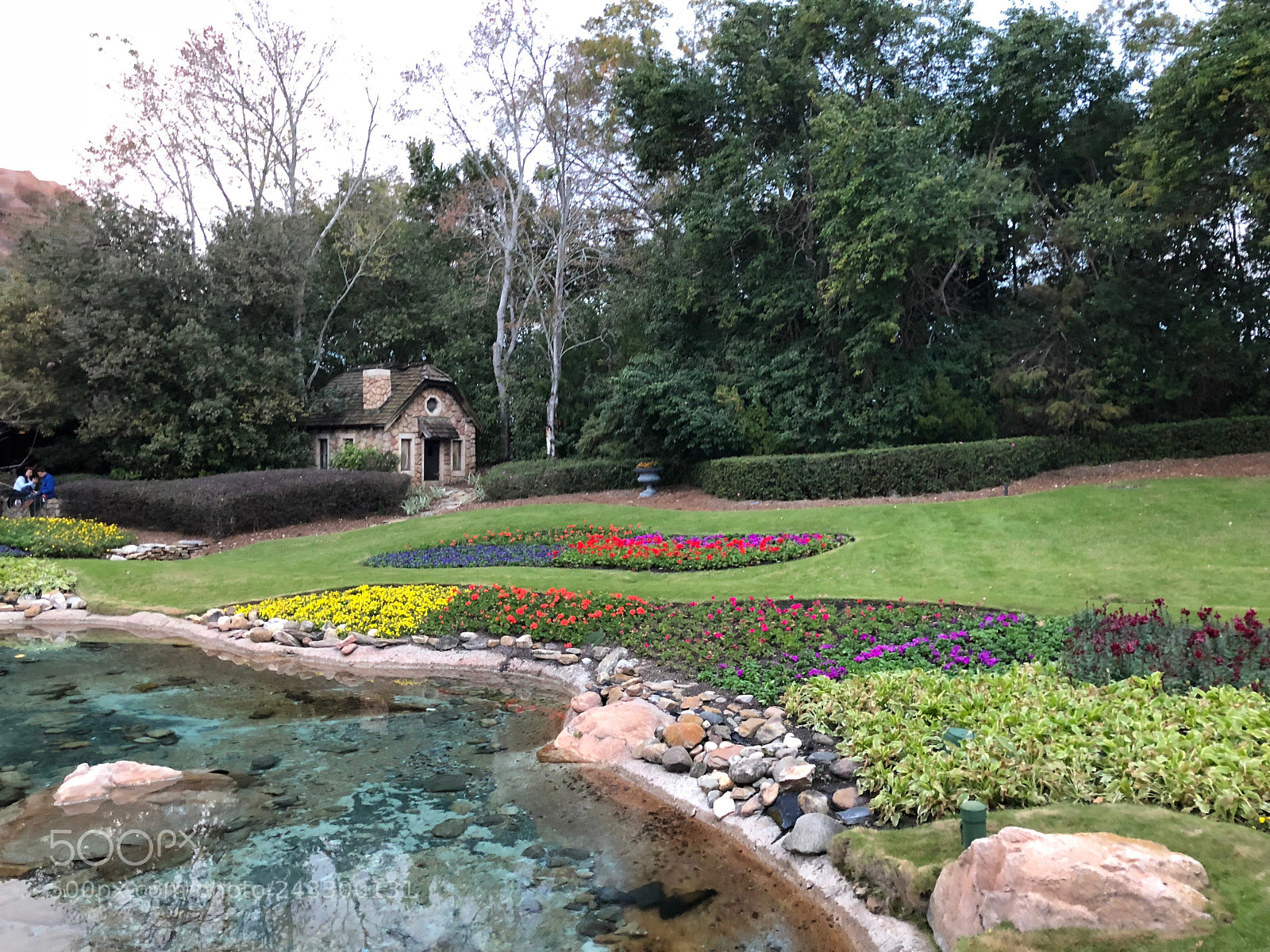 Apple iPhone 8 sample photo. Canadian garden photography