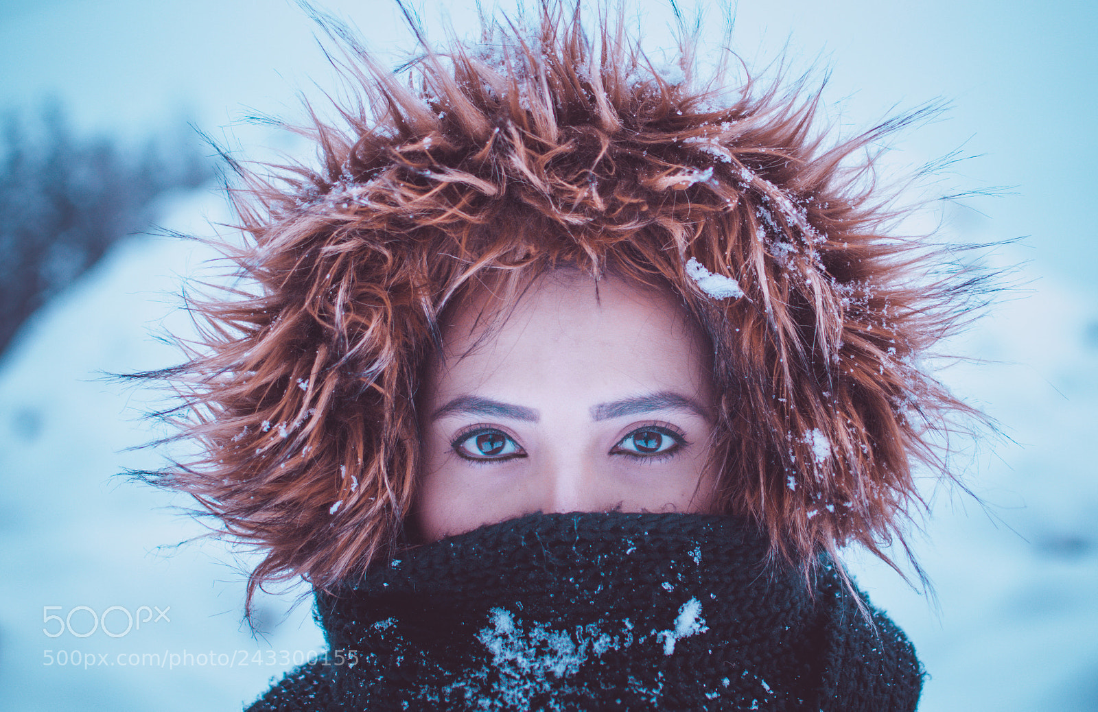 Nikon D7100 sample photo. Cold eyes photography