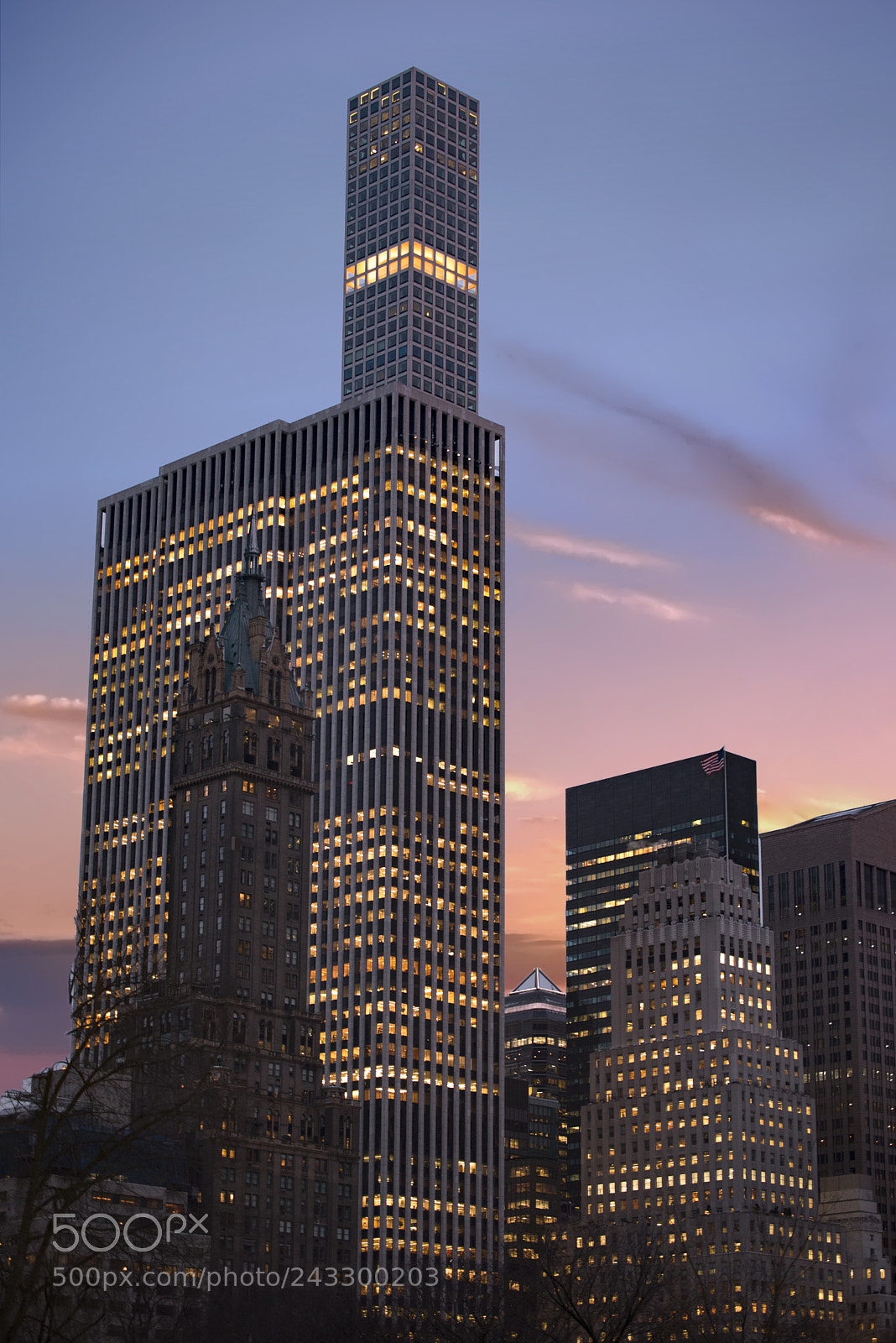 Nikon D610 sample photo. Newyork city skyline, viewed photography