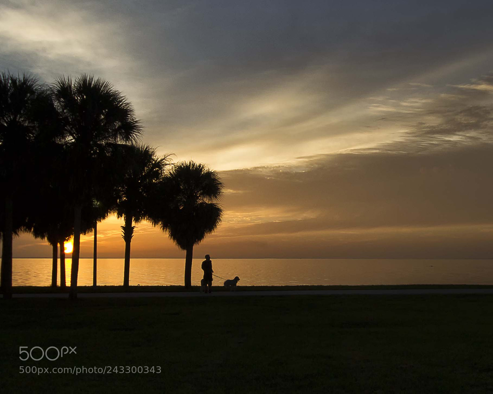 Canon EOS 60D sample photo. Dog walking man @ sunrise photography