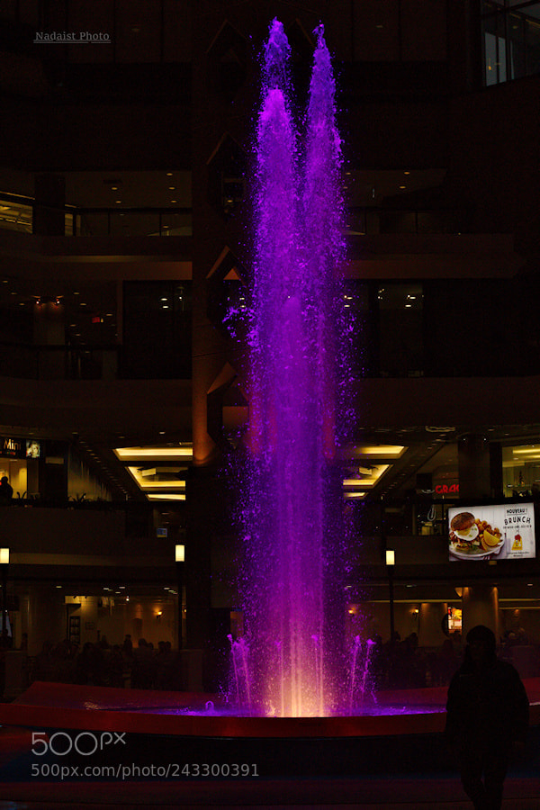Canon EOS 700D (EOS Rebel T5i / EOS Kiss X7i) sample photo. Fontaine photography