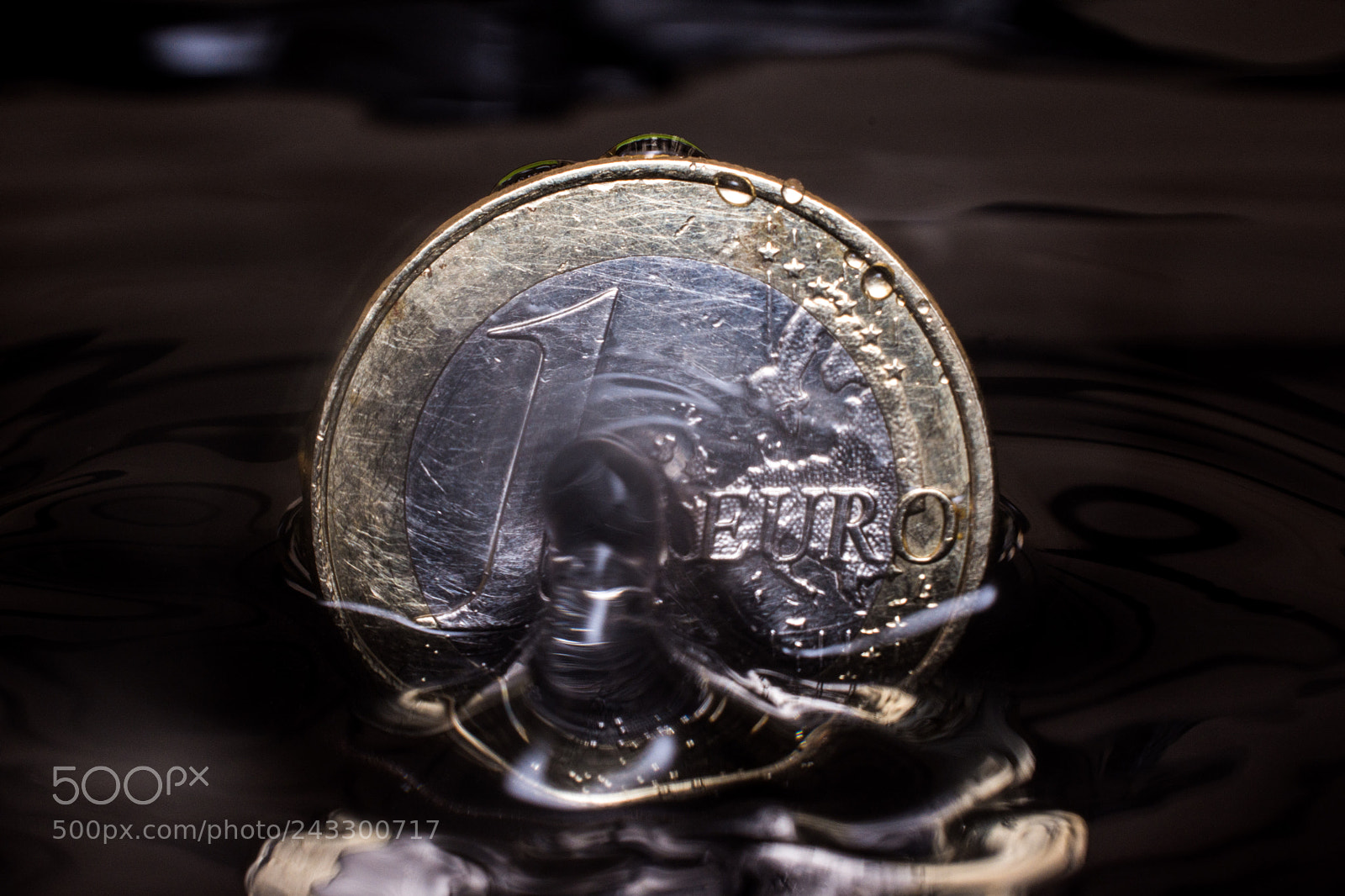 Nikon D7200 sample photo. Macro shot of a photography