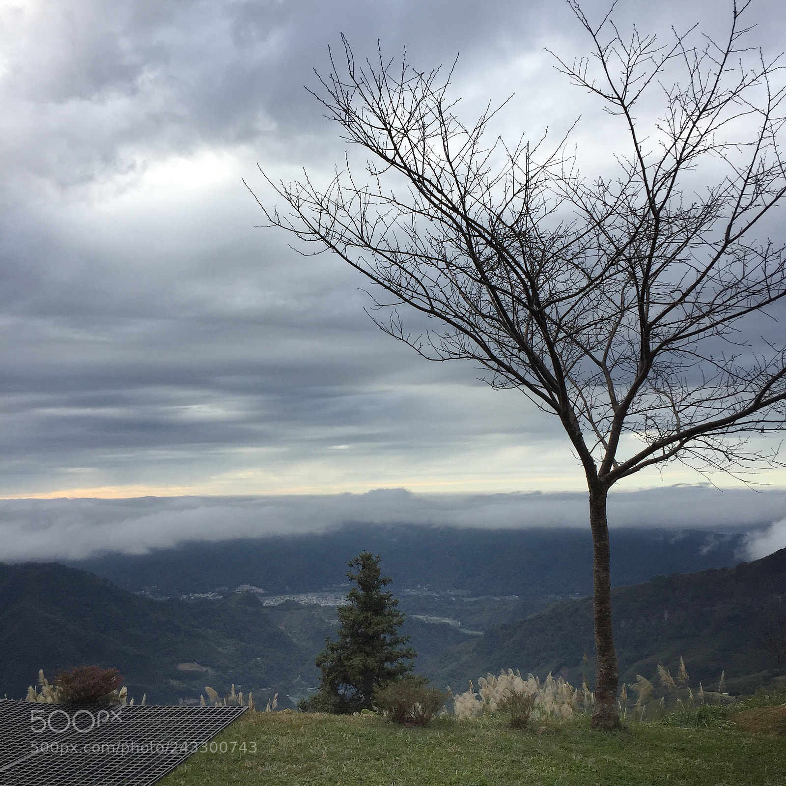 Apple iPhone 6 sample photo. 營位的高度與雲層高度接近，雲海的翻滾就在眼前上演 photography