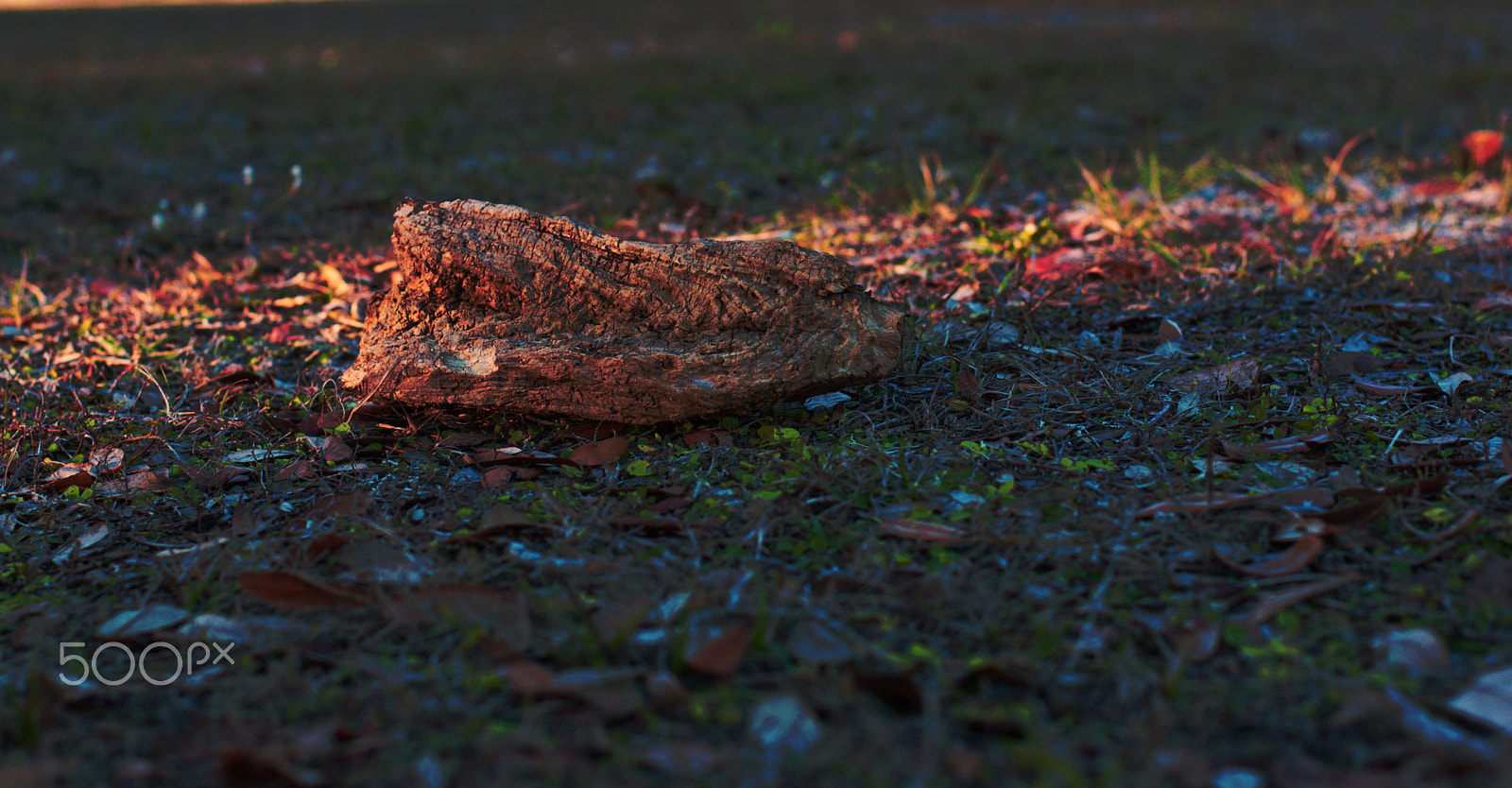 Nikon D3400 + Nikon AF-S Nikkor 50mm F1.8G sample photo. Dsc photography
