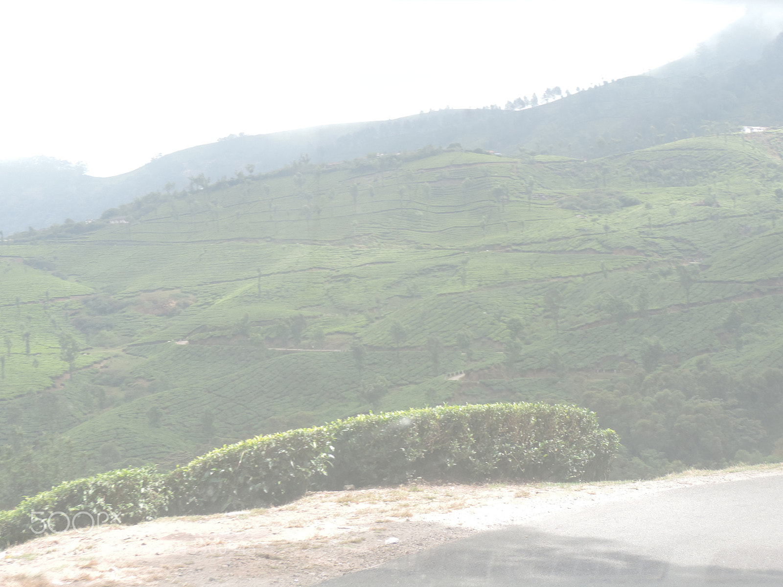 Nikon Coolpix P520 sample photo. Beautiful view of foggy photography