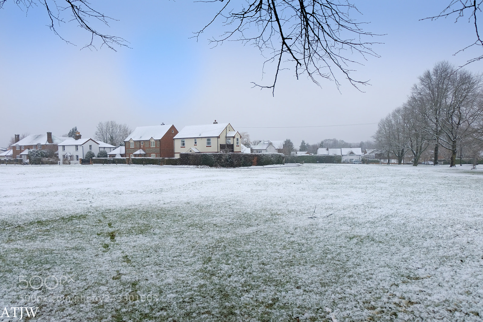 Fujifilm X-T20 sample photo. Snowy common photography
