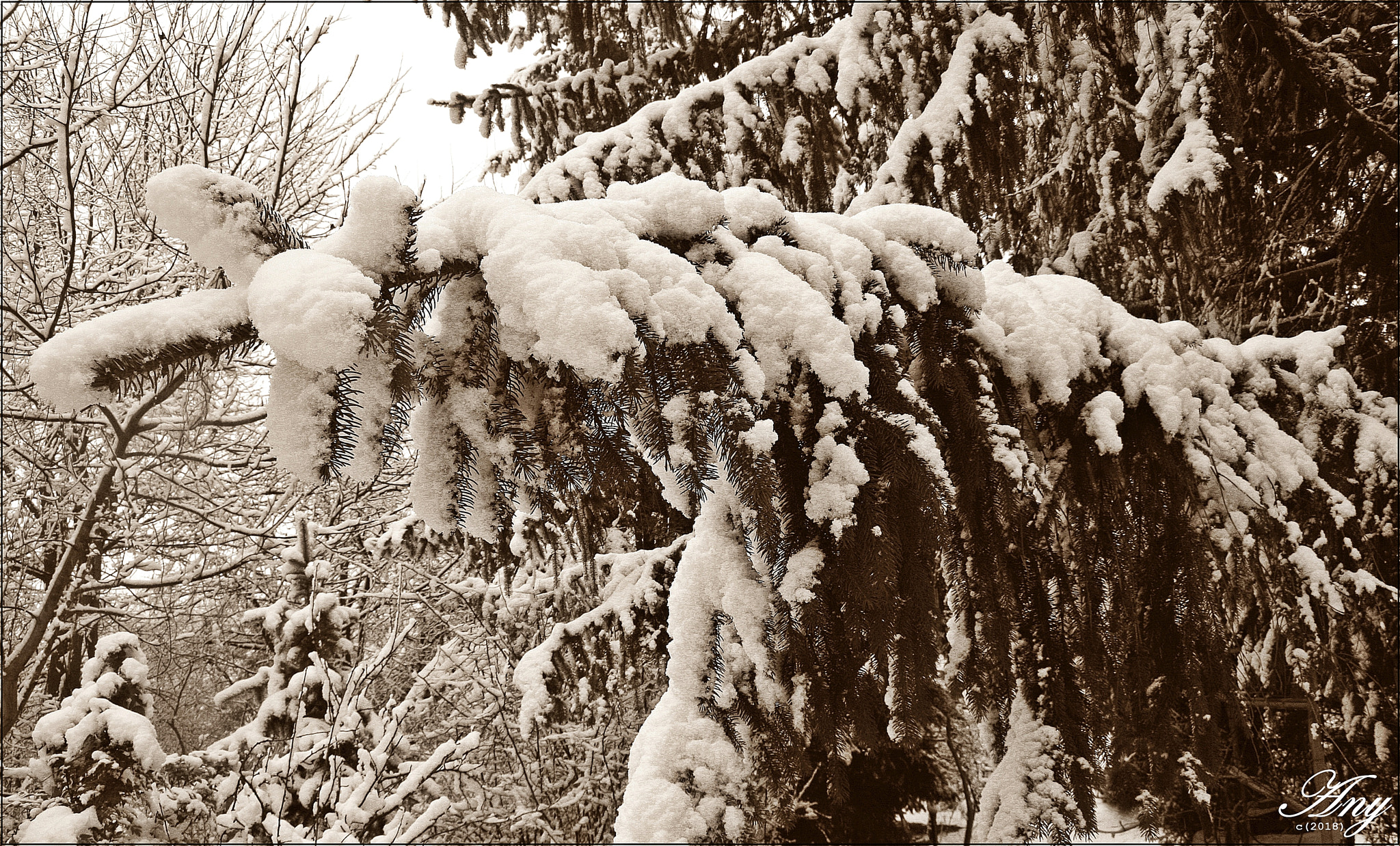 Canon EF-S 18-55mm F3.5-5.6 II sample photo. Winter photography