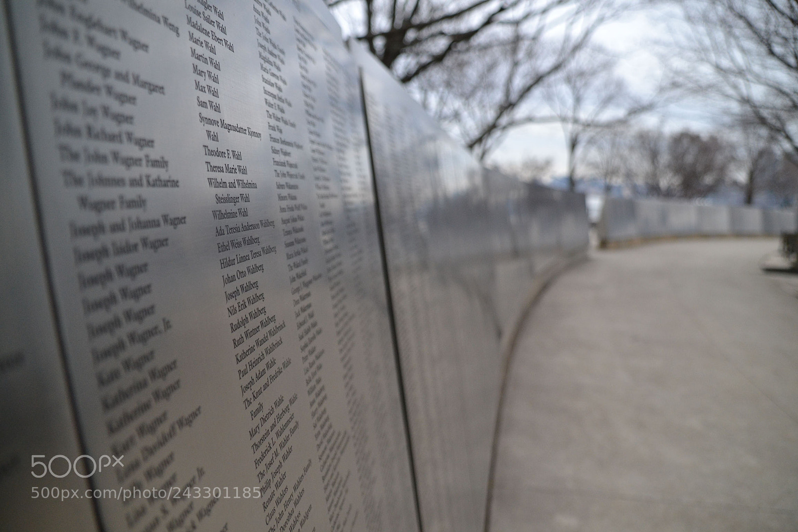 Nikon D3100 sample photo. Wall of immigration photography