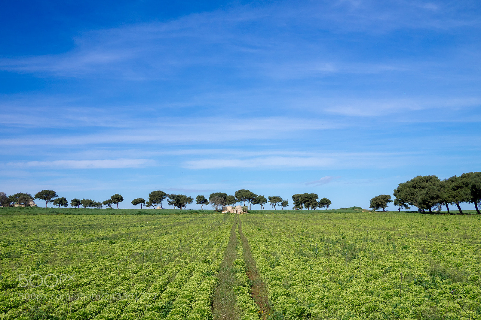 Olympus OM-D E-M1 sample photo. Landscape with a trullo photography